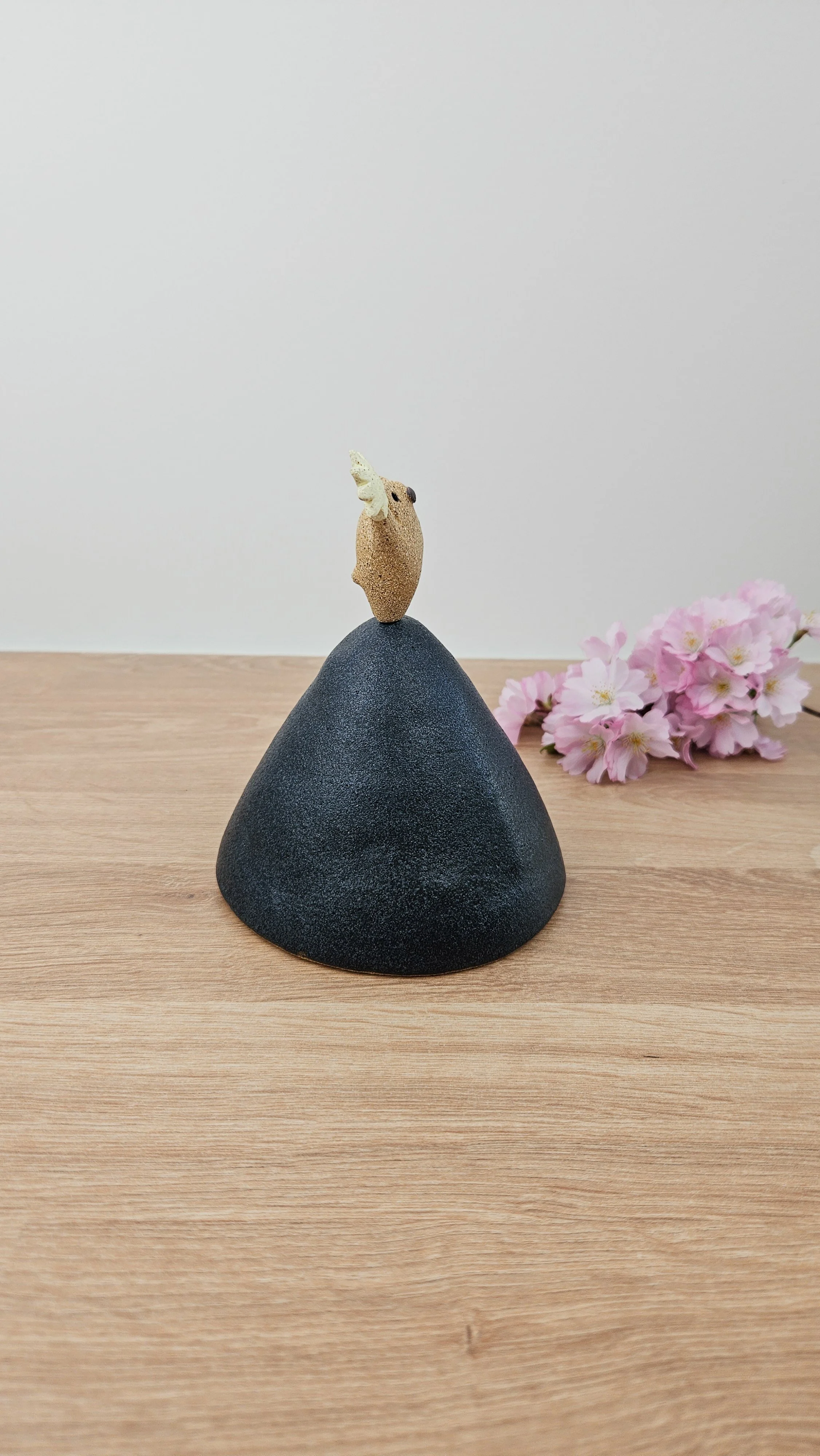 Danseur étoile 3 20260318_145345.jpg