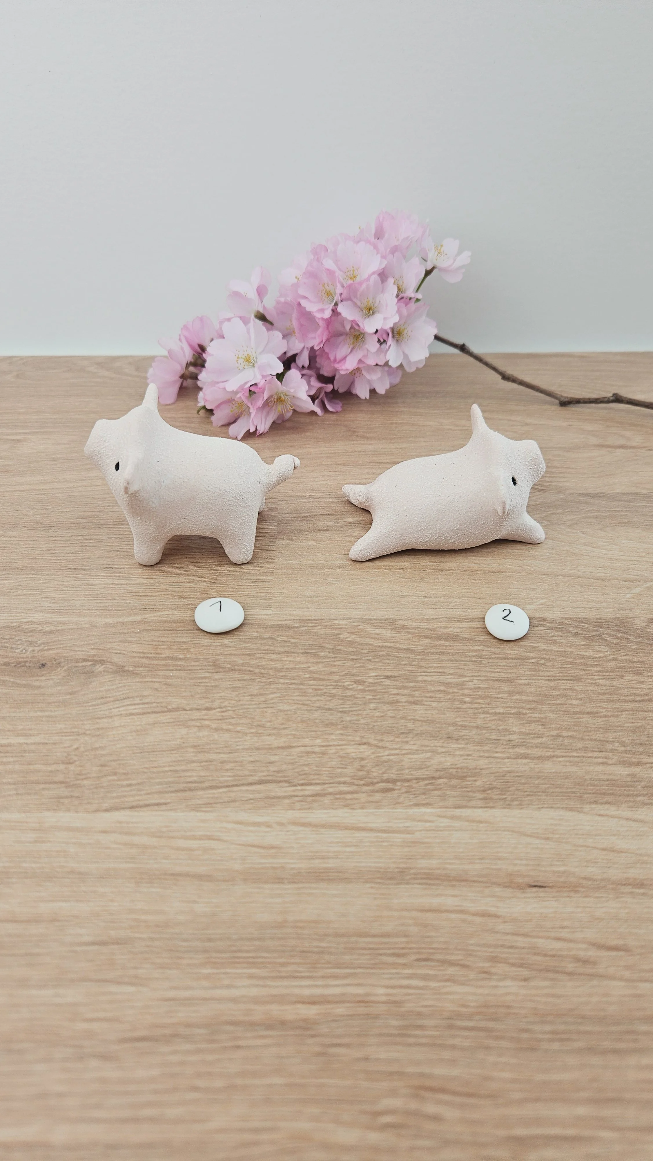 Mini cochon 20260318_133046.jpg