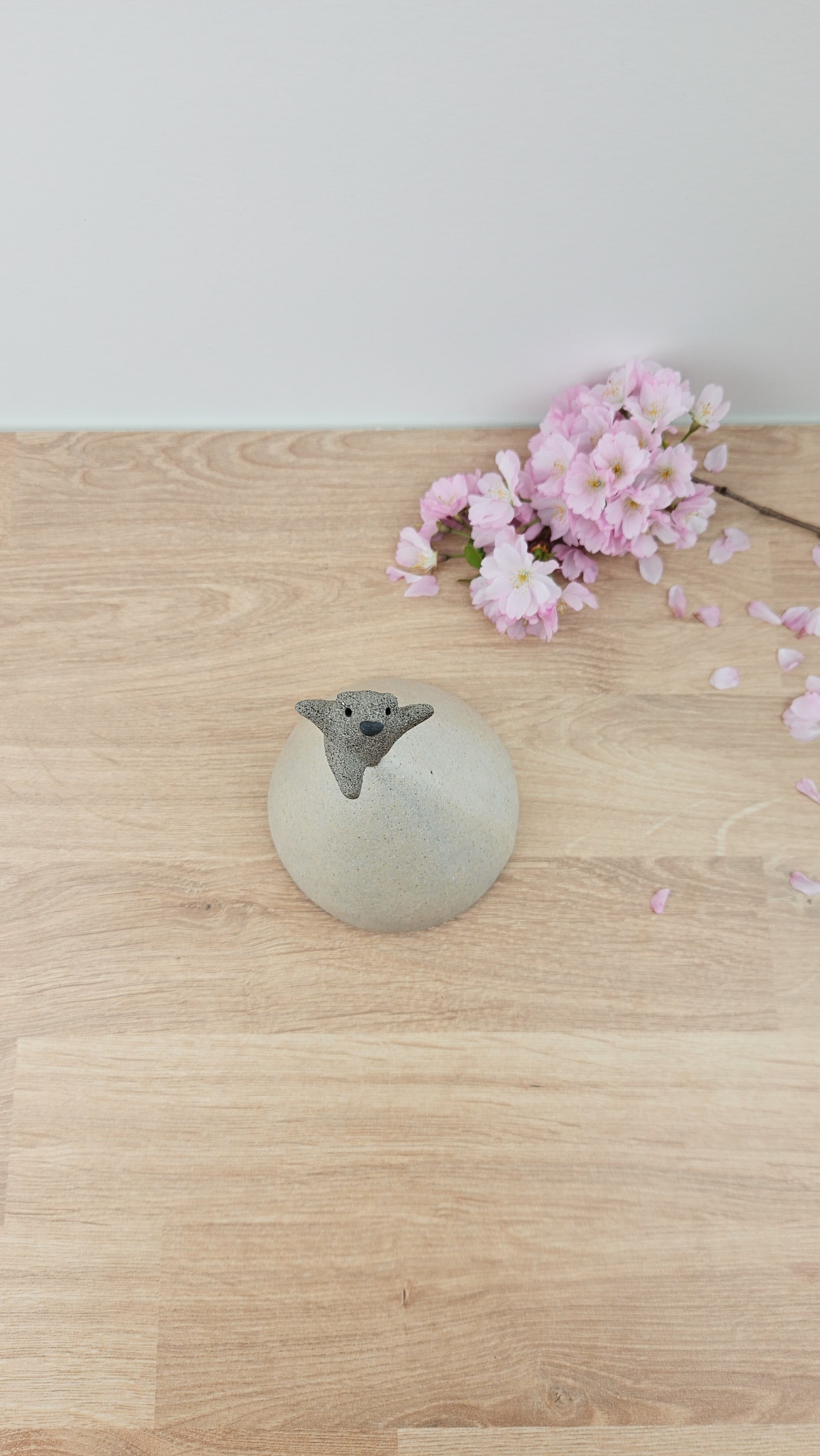 Montagne danse 5Montagne danse 420260319_143246.jpg