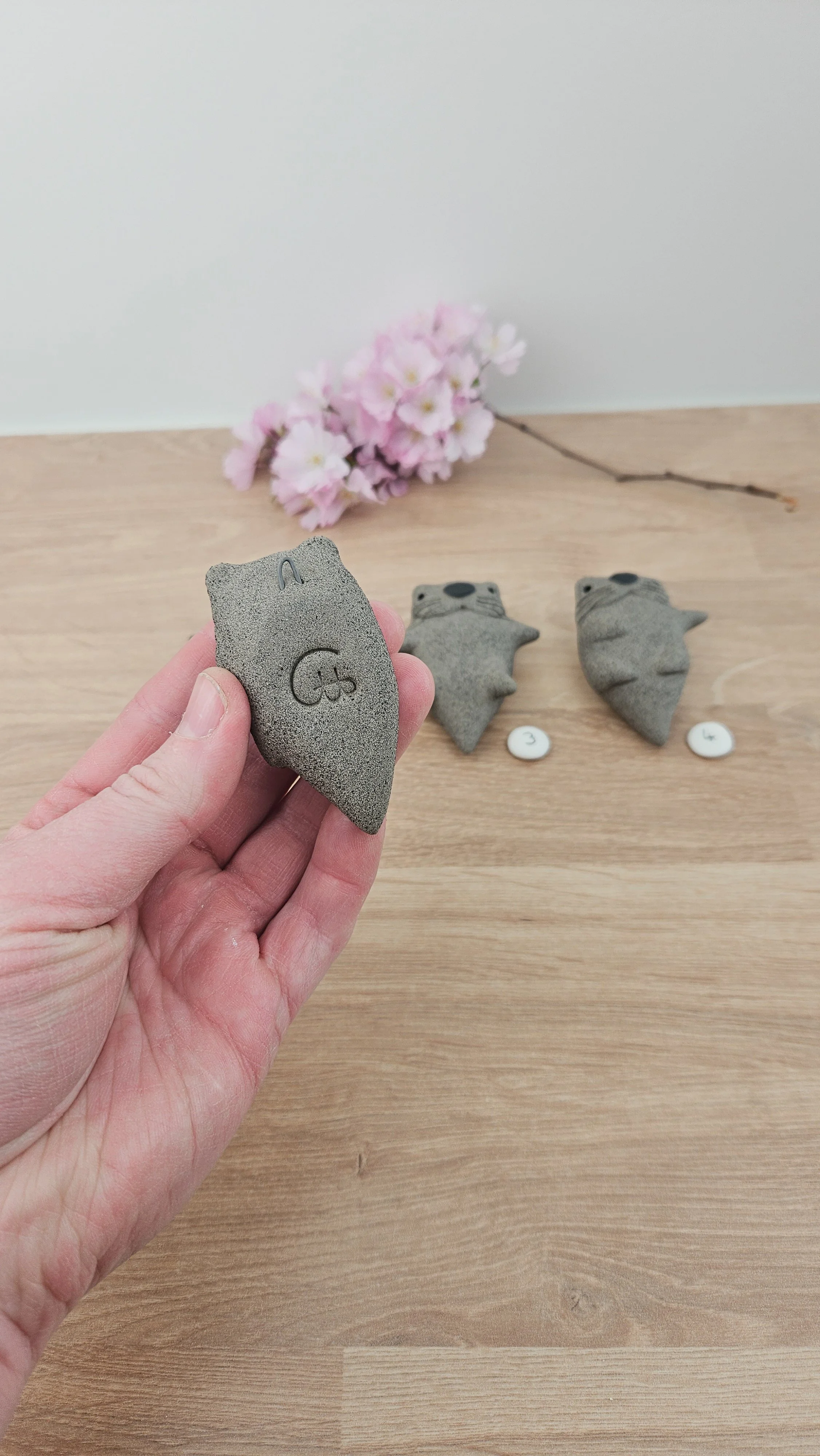 Mini Loutre 20260318_135320.jpg