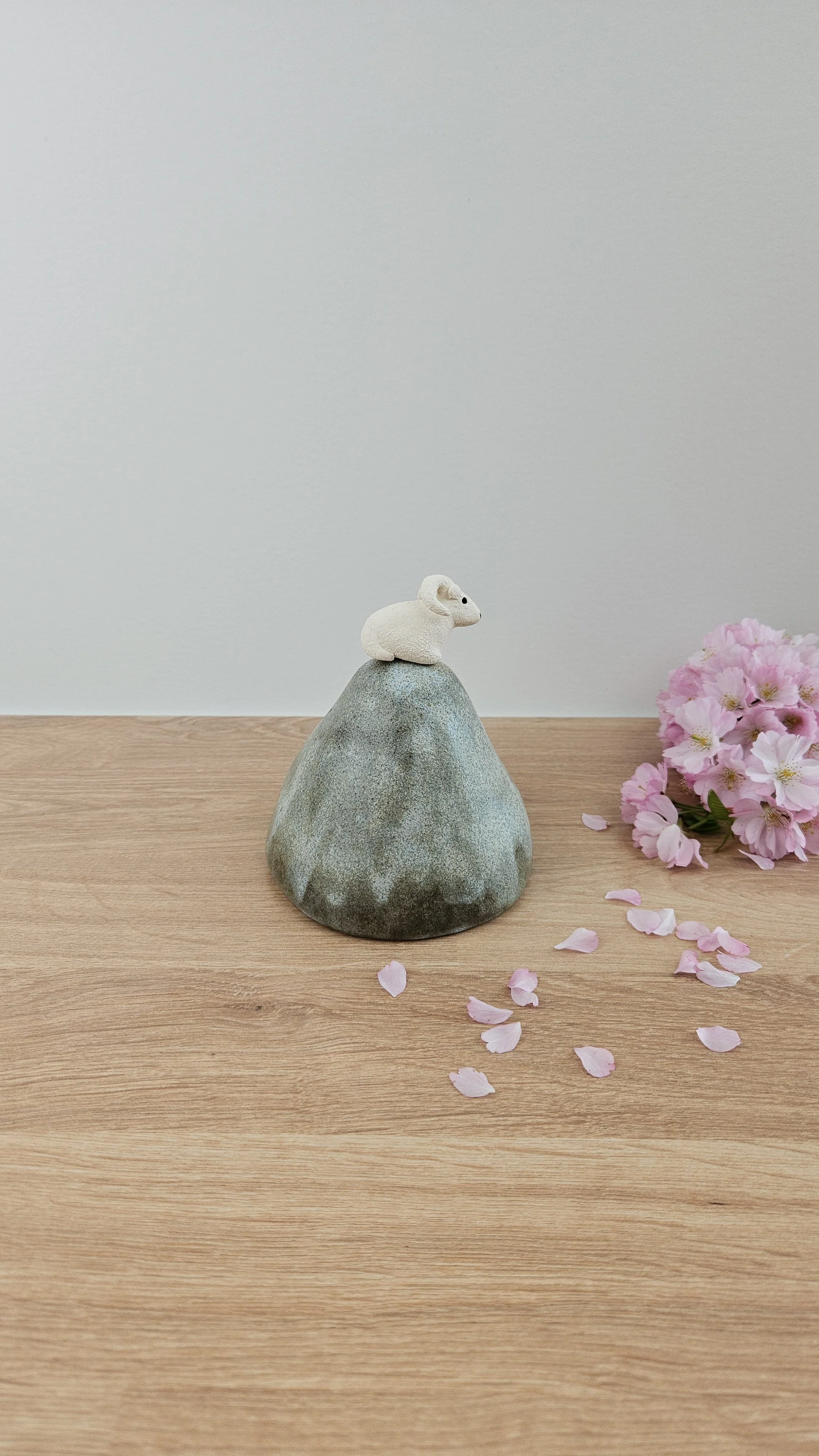 montagne Bouc 420260319_124042.jpg