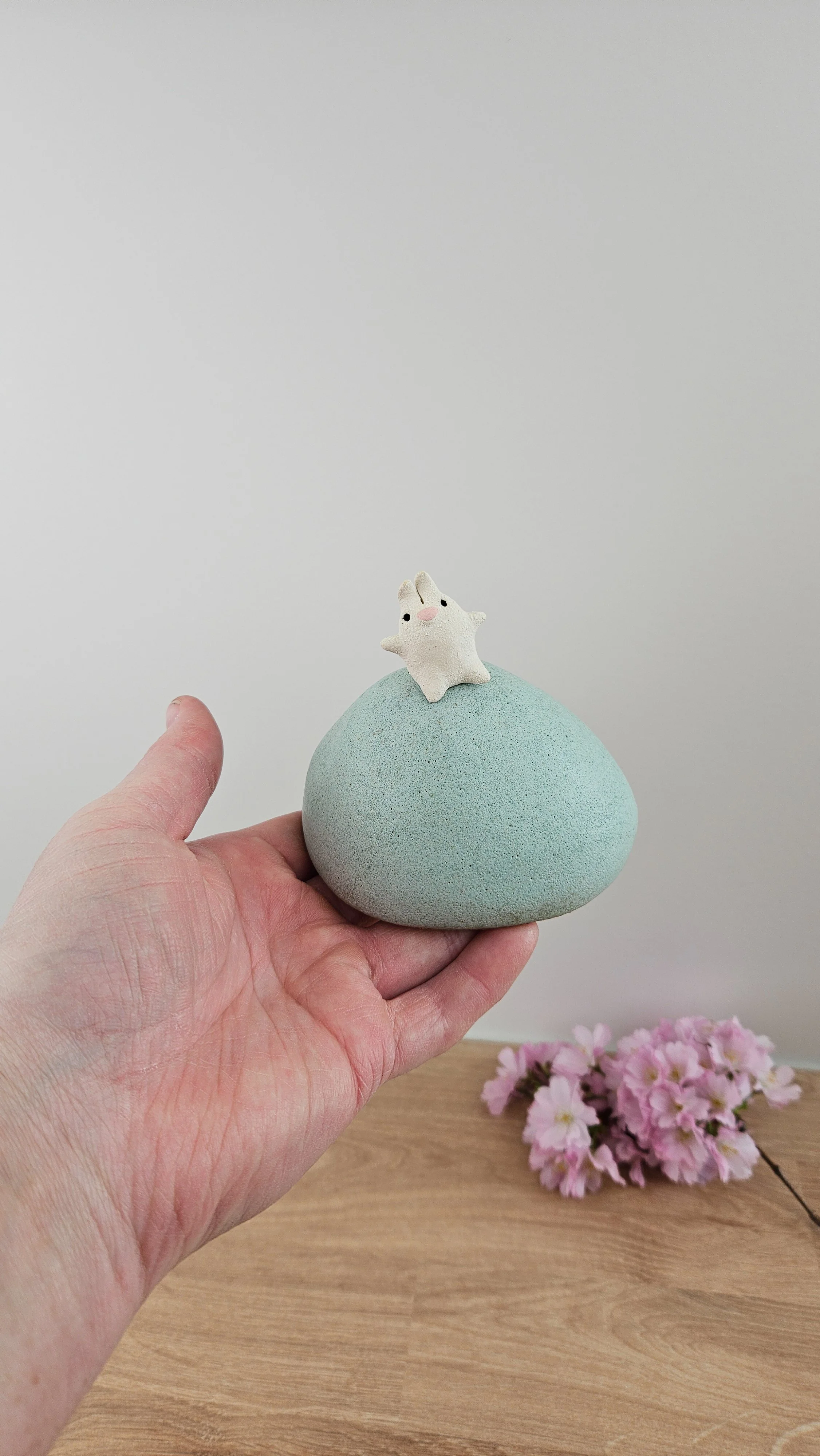 colline lapin 420260319_122412.jpg