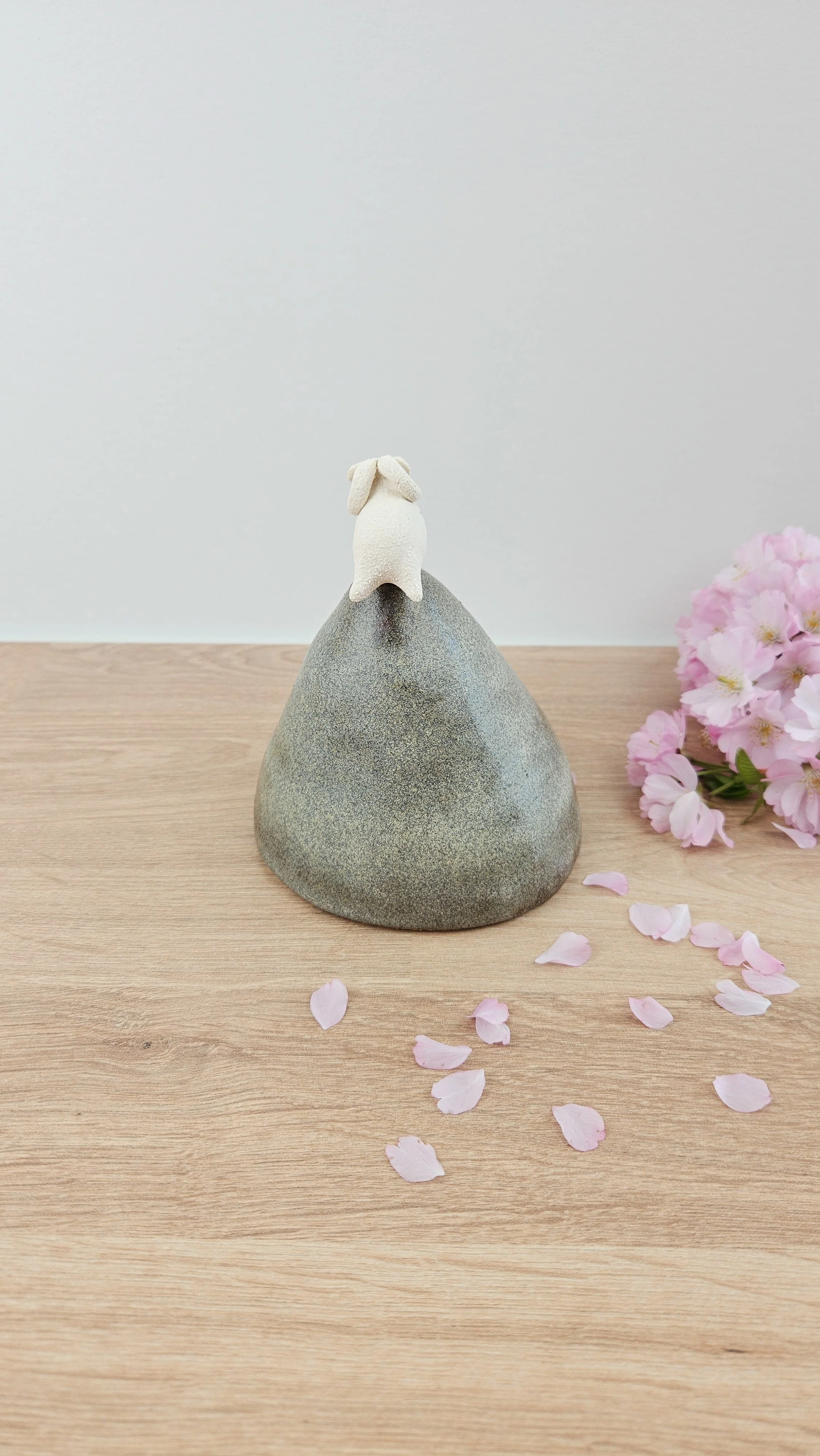 montagne Bouc 120260319_123742.jpg