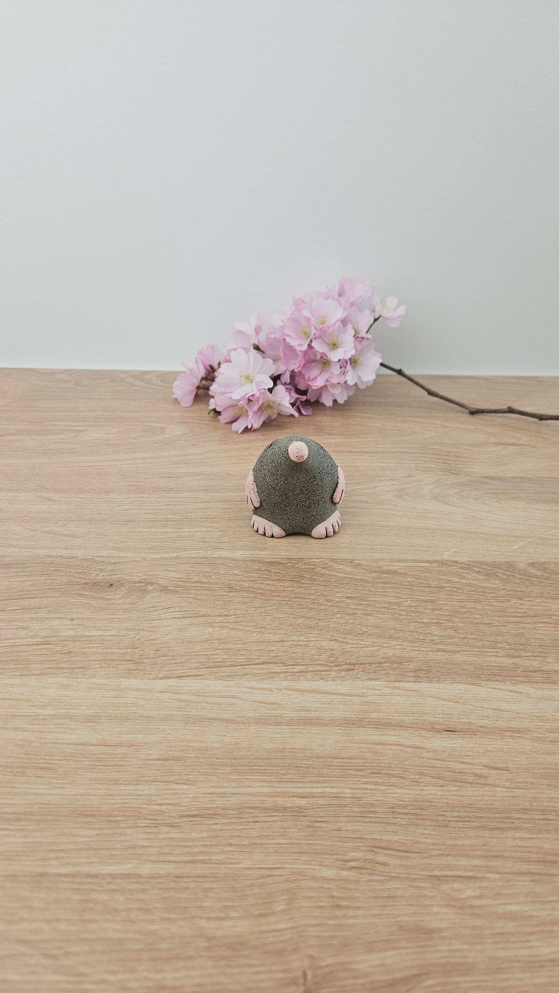 Mini Taupe 20260318_133906.jpg