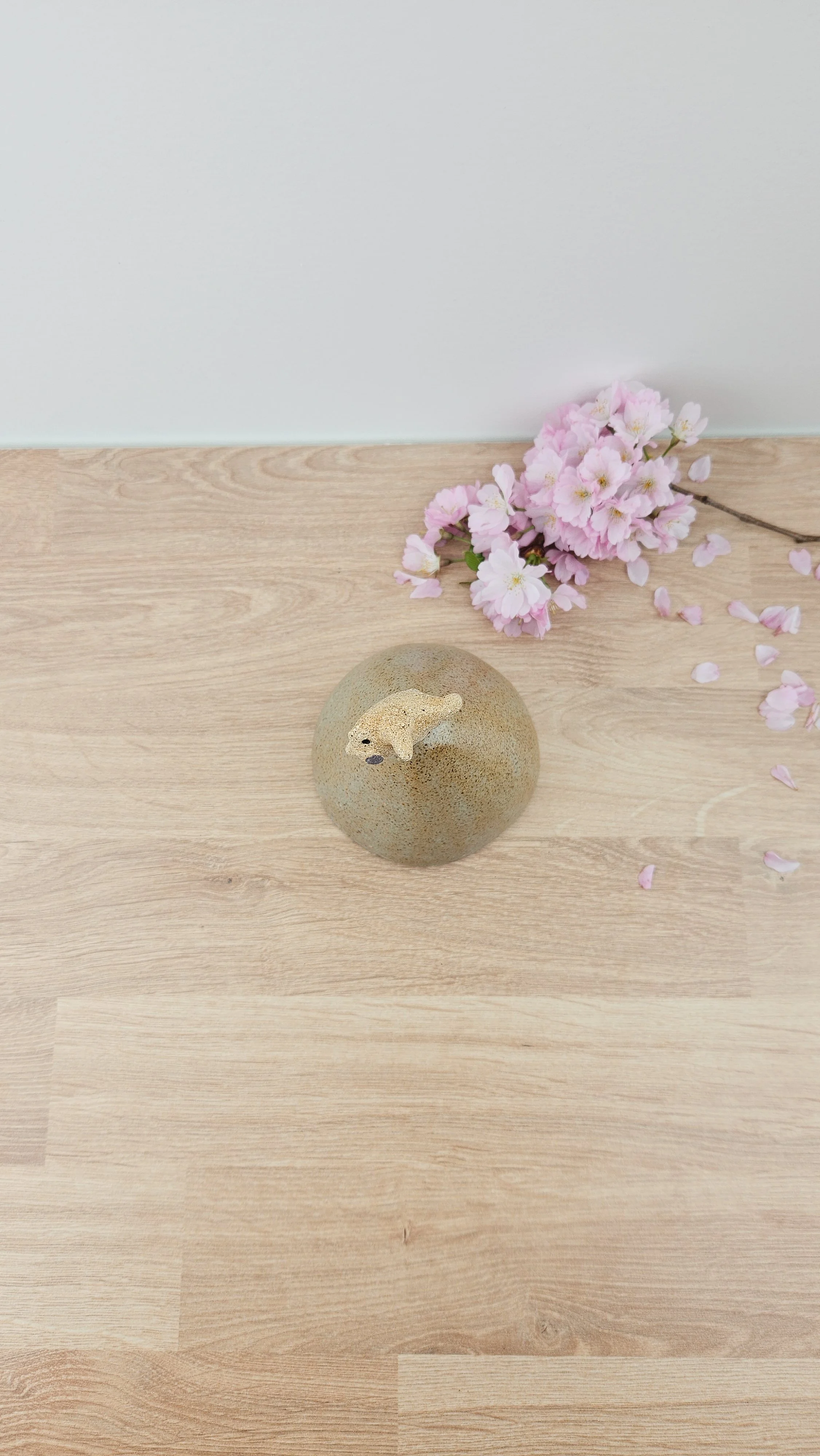 Montagne danse 520260319_143334.jpg