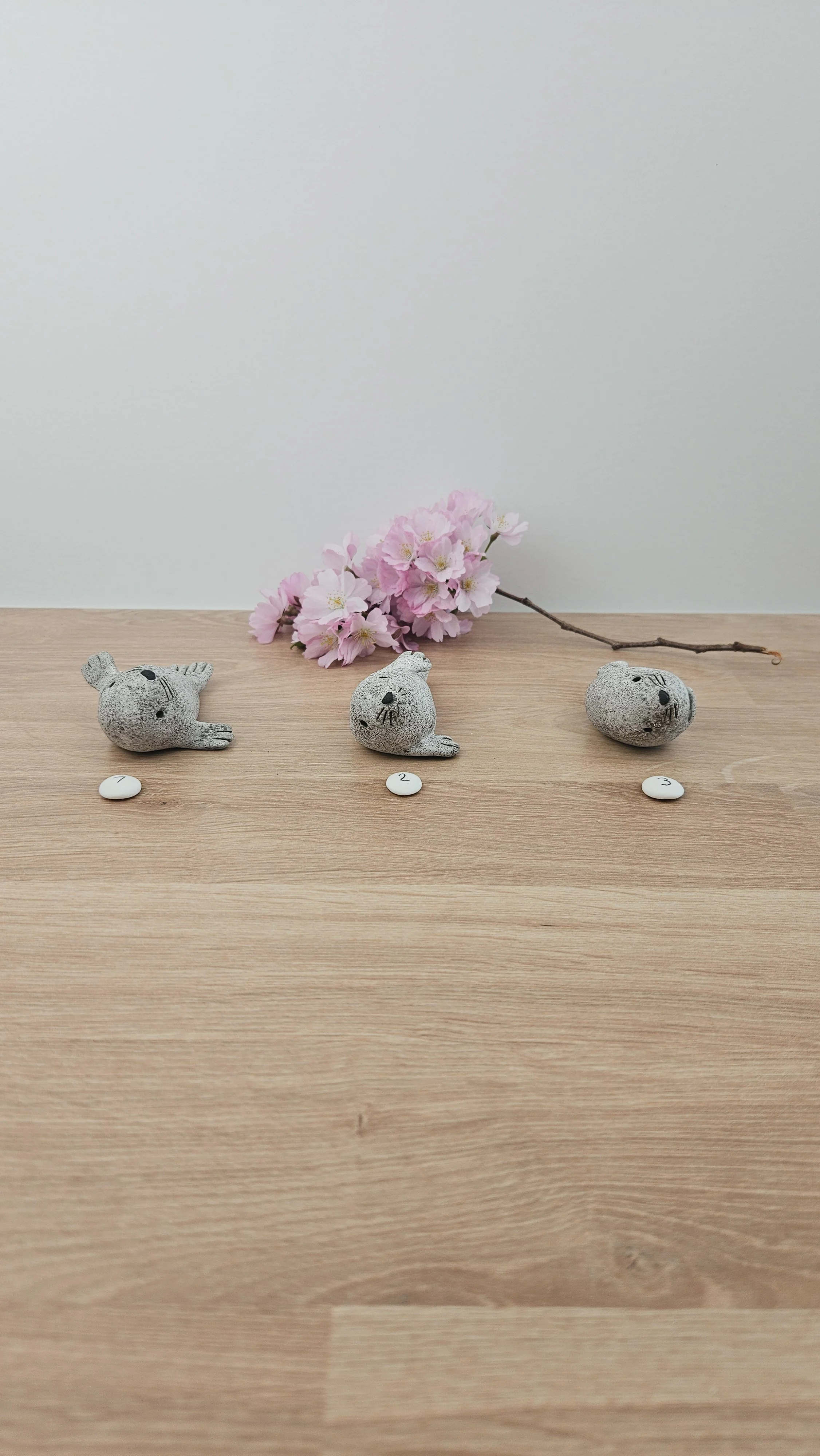 Mini Phoque 20260318_134920.jpg