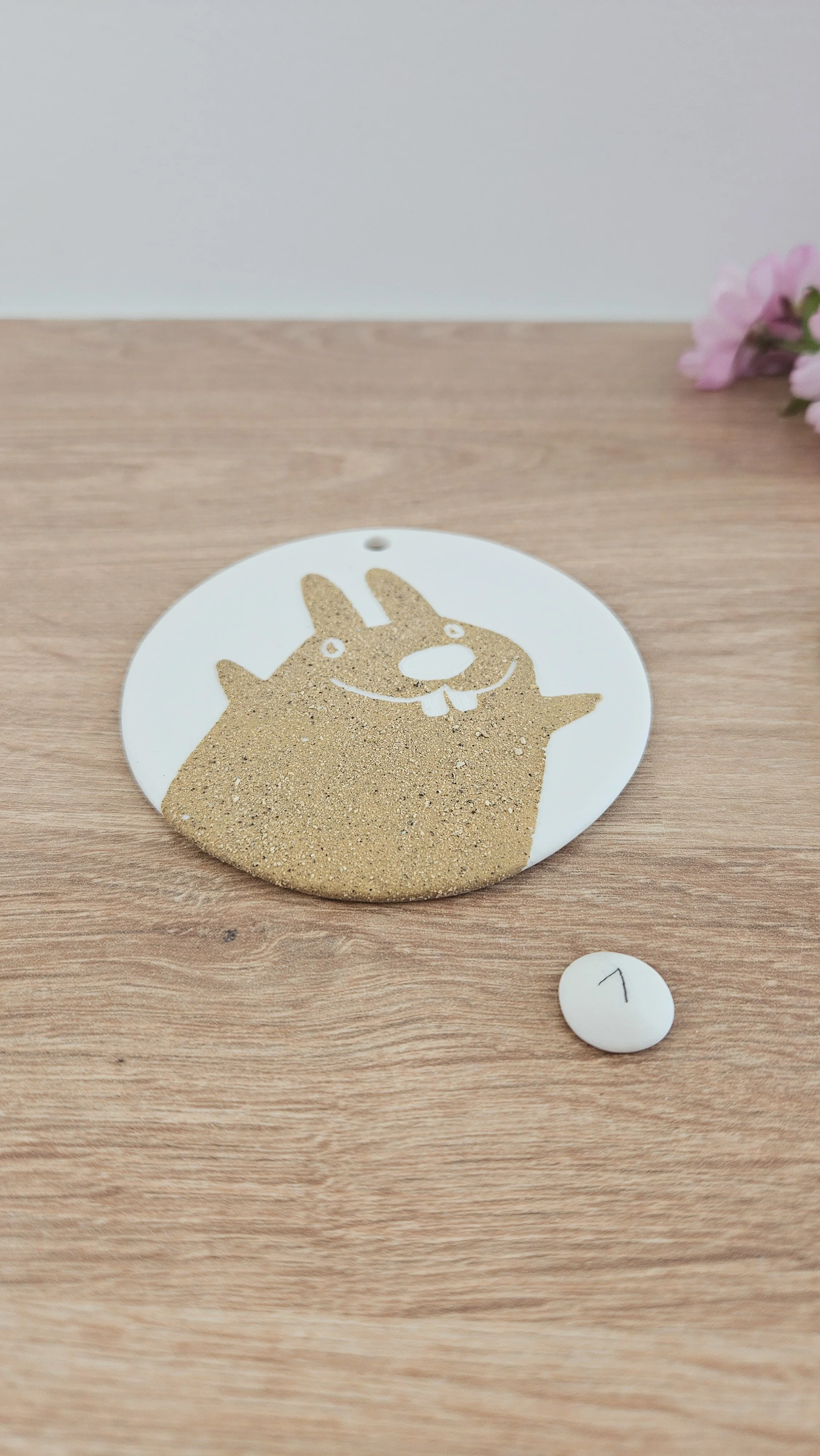 Médaillon lapin 20260319_120016.jpg