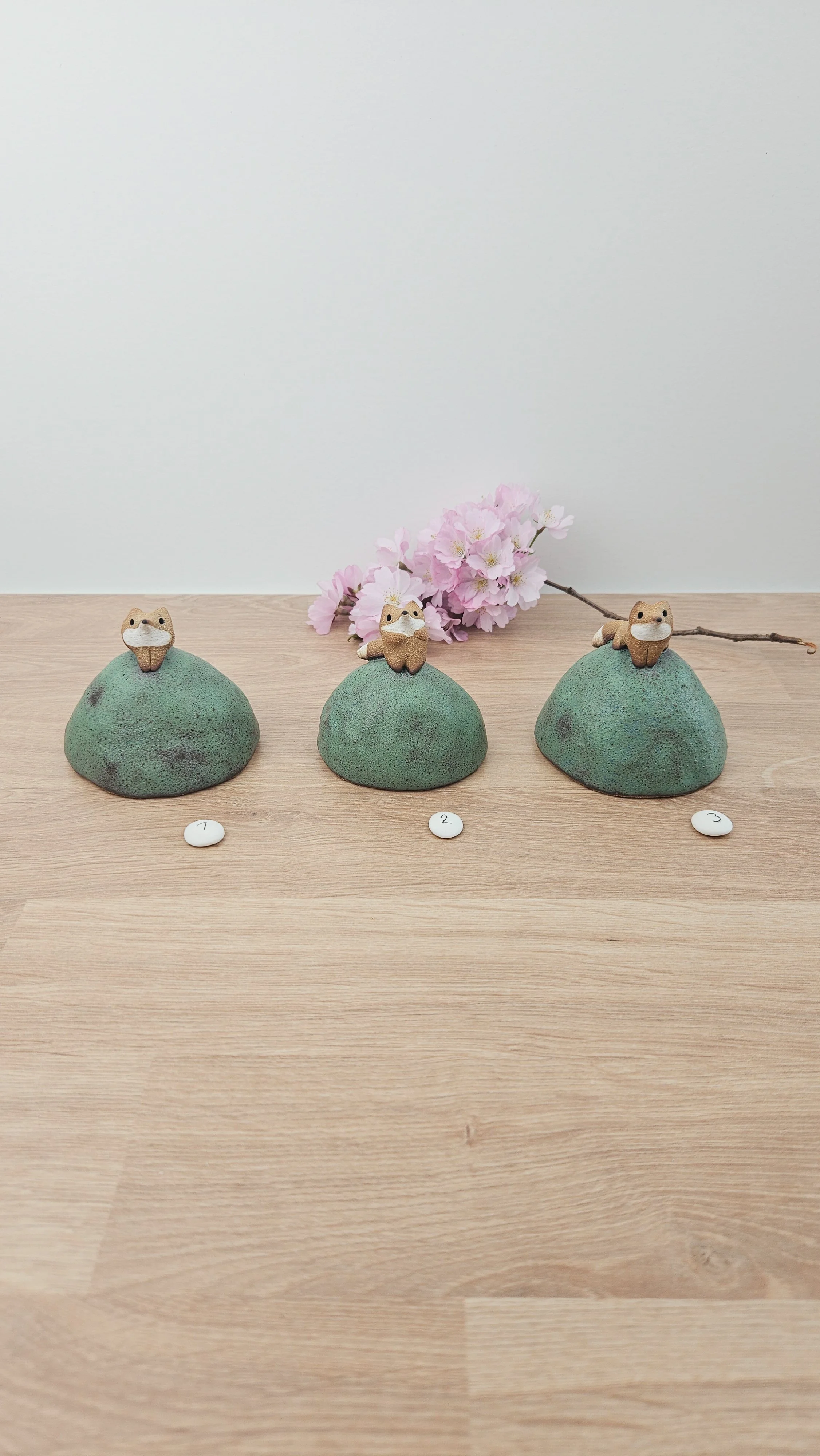 Mini colline renard20260318_142143.jpg