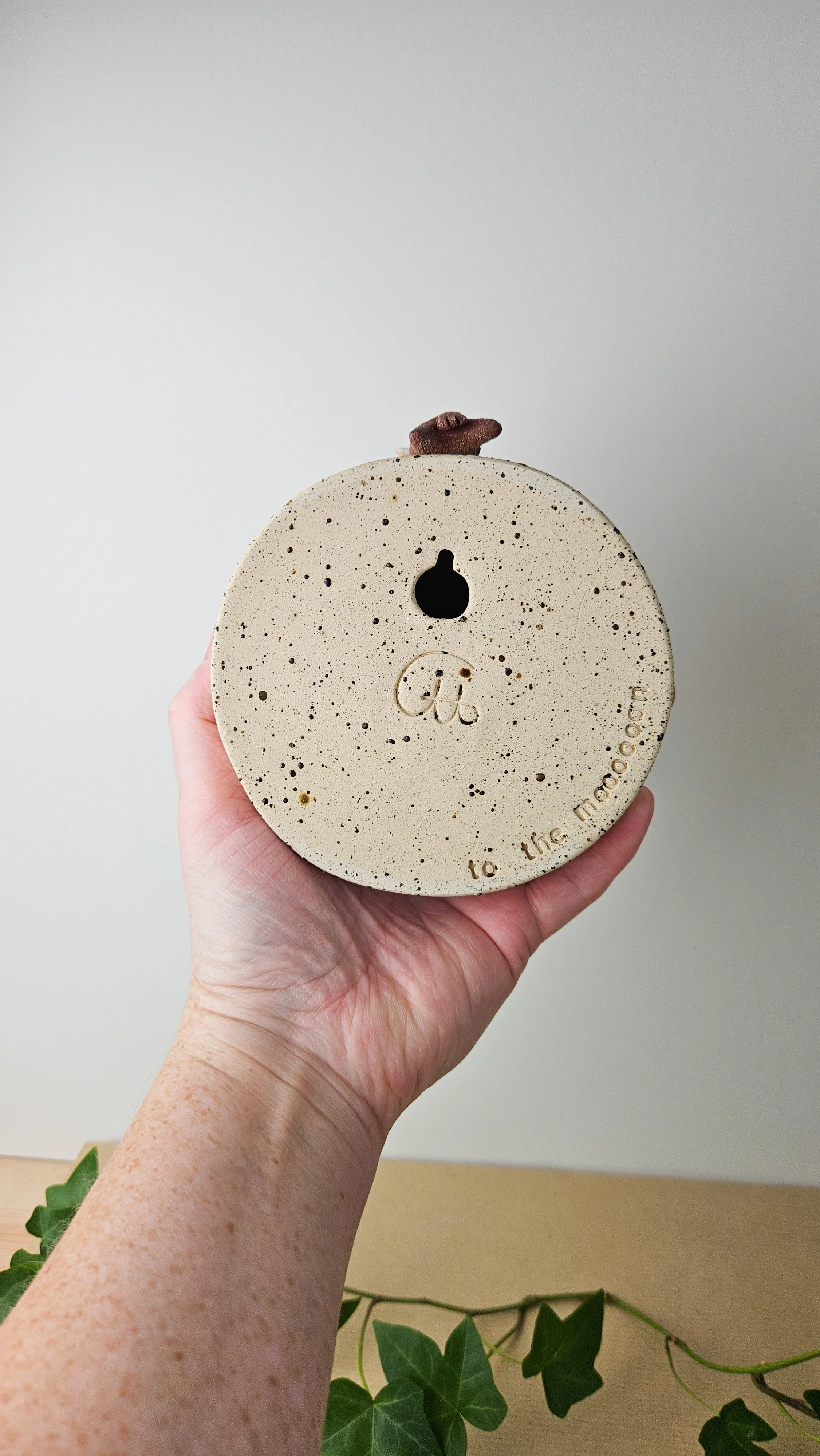 Moon n2-2.jpg