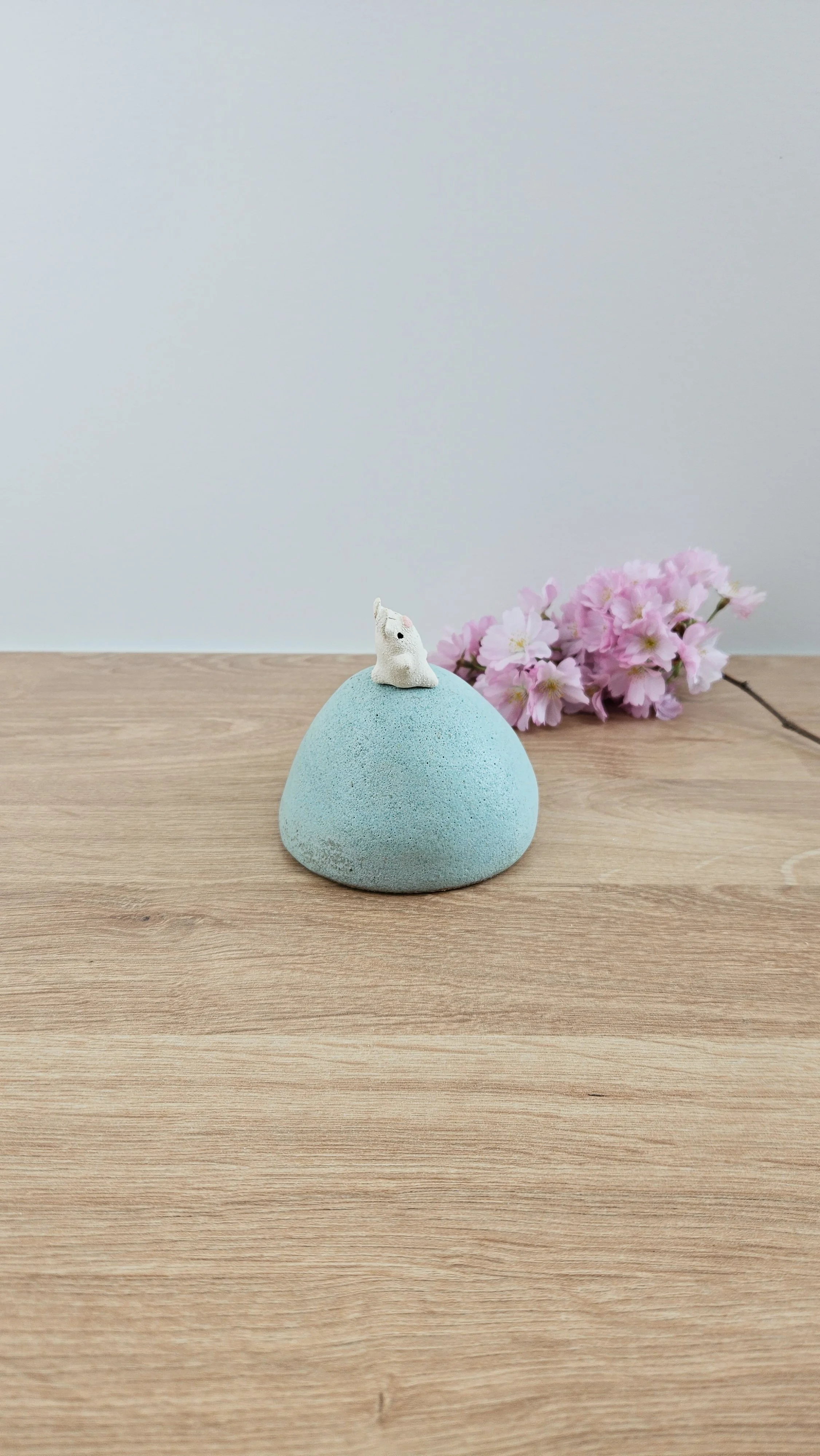 colline lapin 420260319_122359.jpg