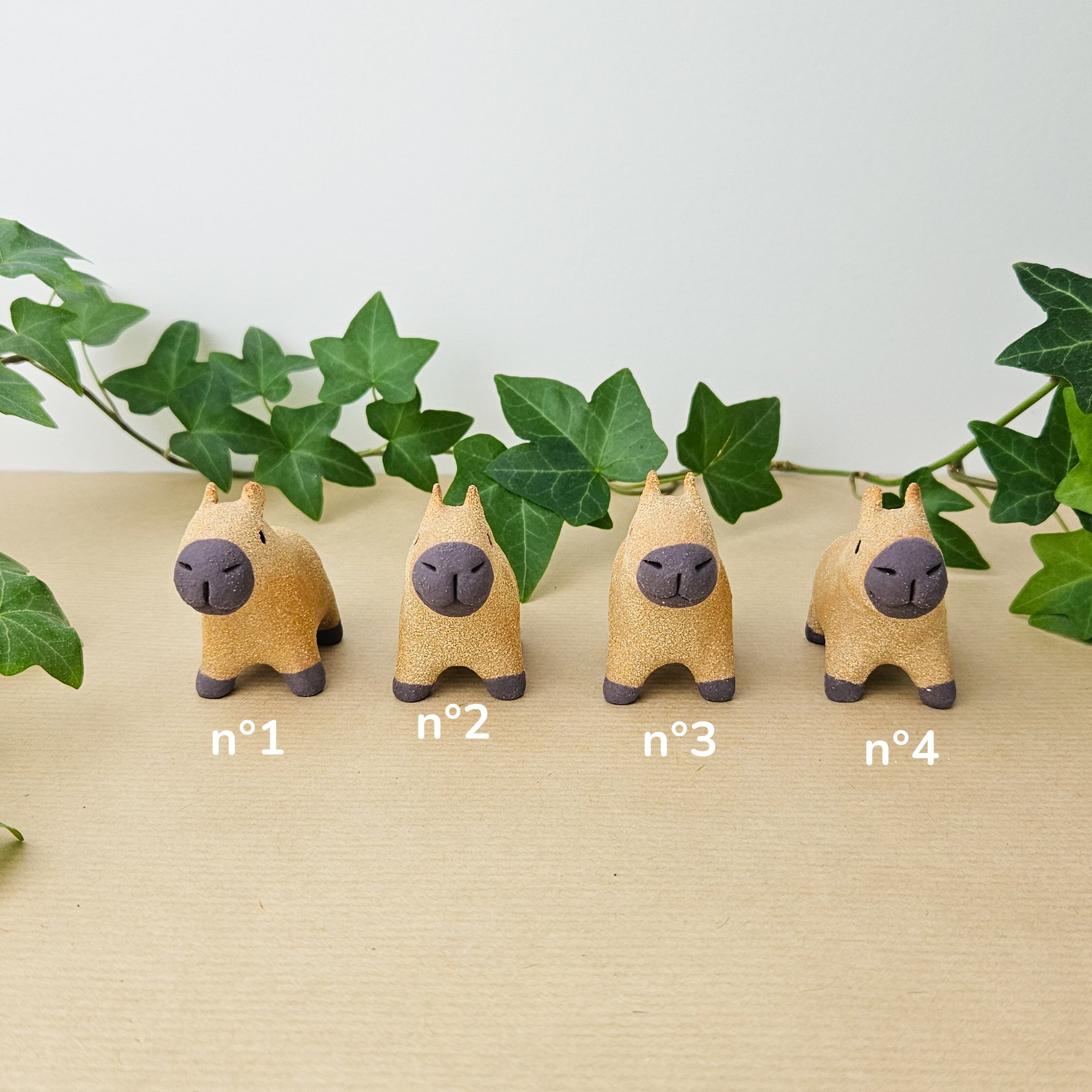 Capybara mini -4.jpg