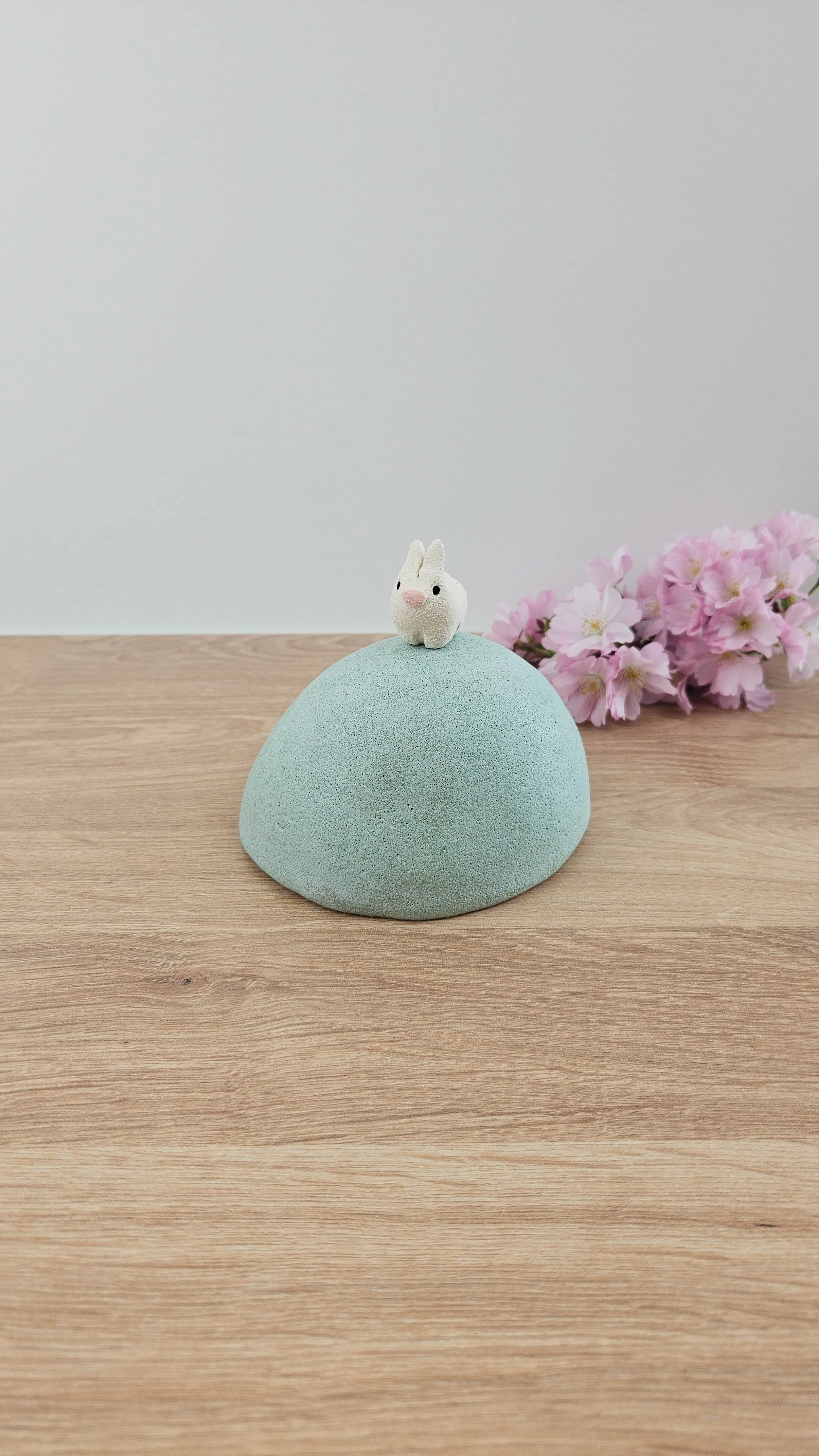 colline lapin 120260319_120852.jpg