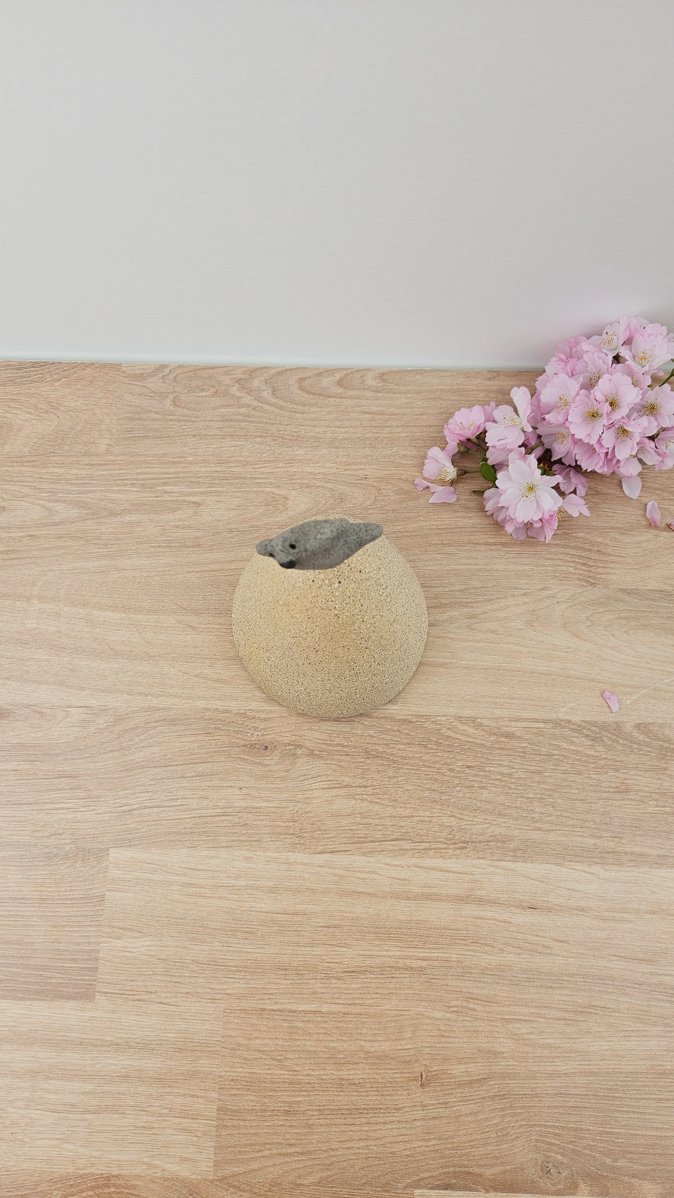 Montagne danse 120260319_142903.jpg