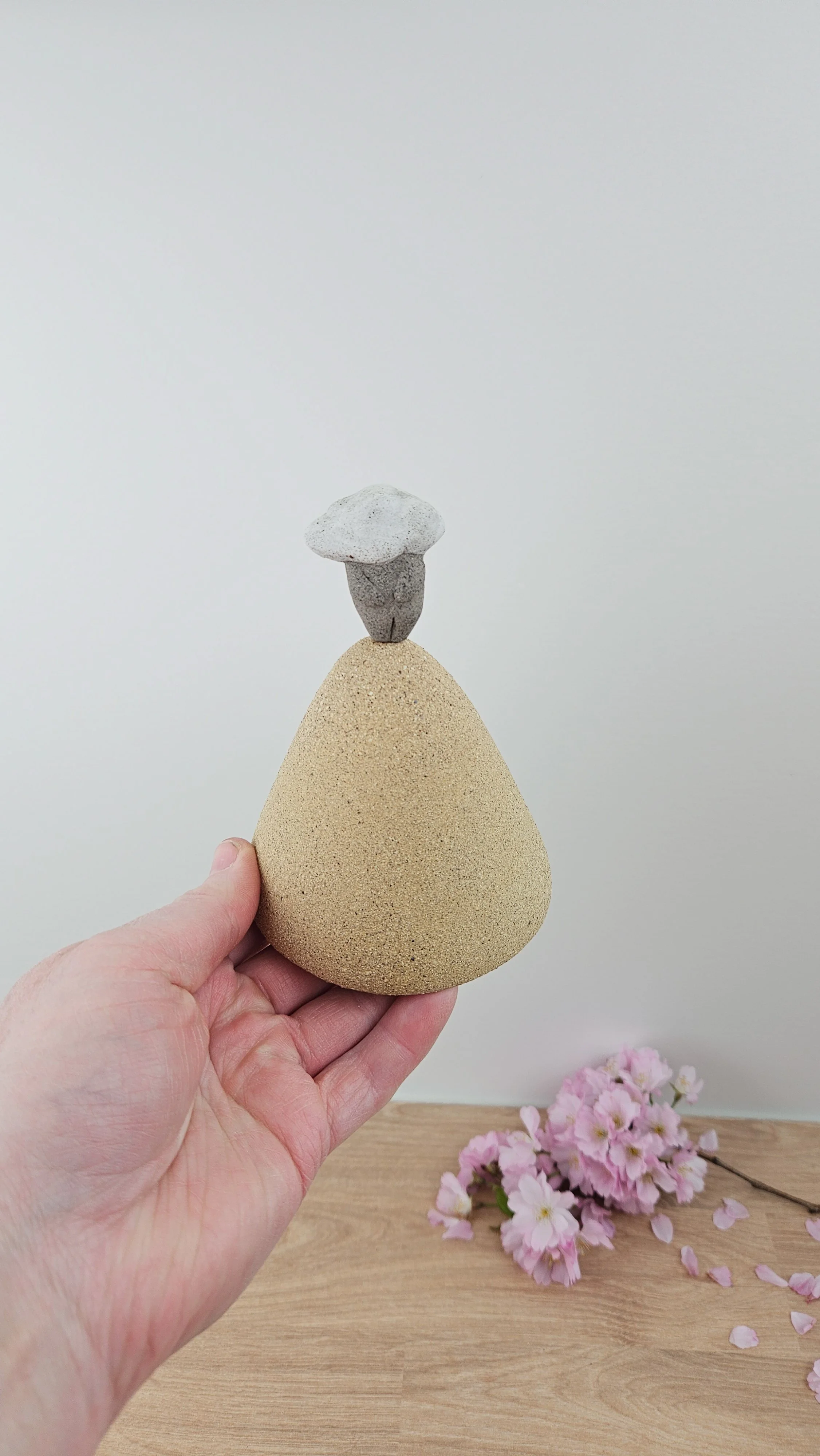 montagne nuage 6 montagne nuage 320260319_142652.jpg