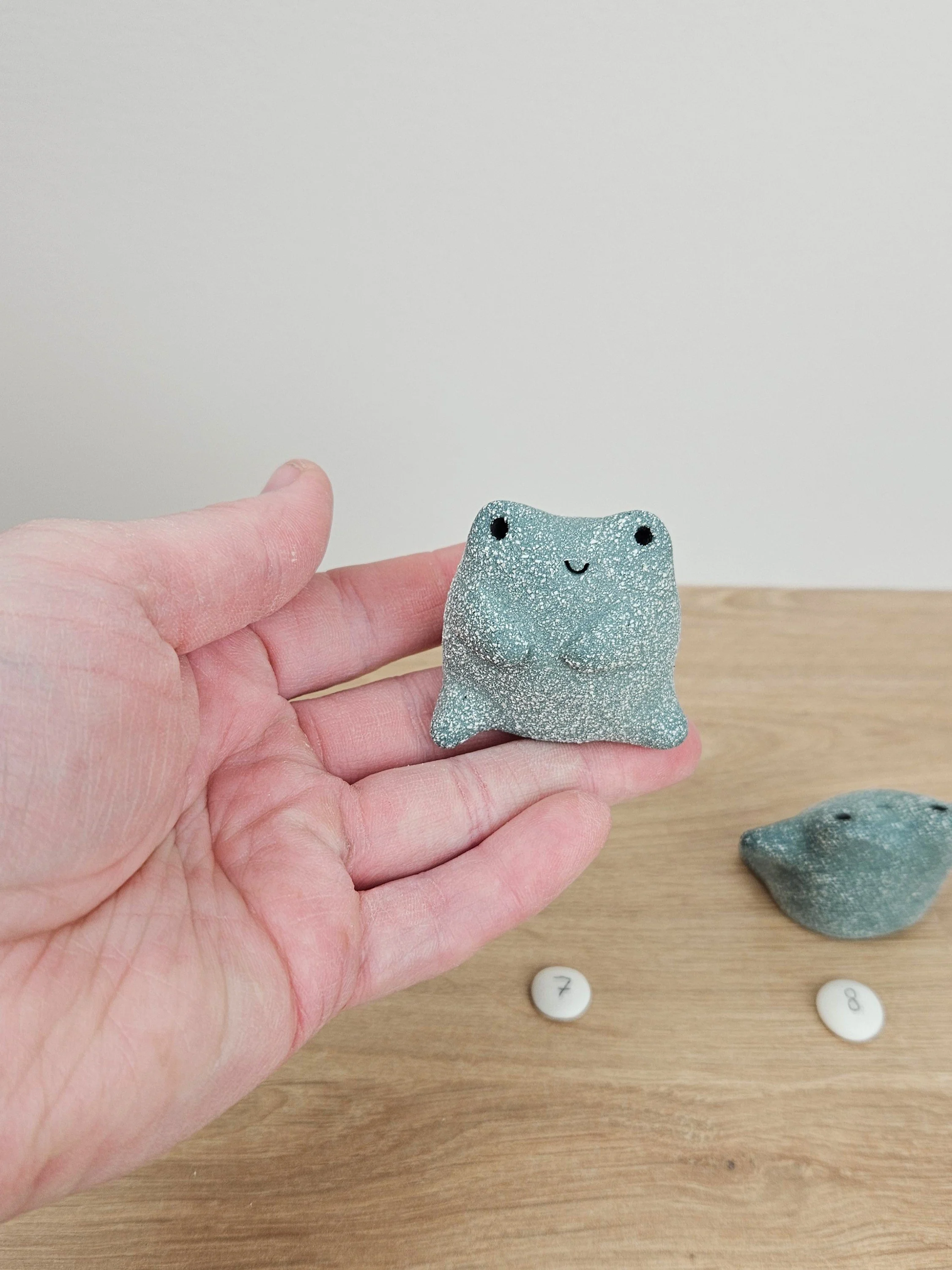 mini grenouille (12).jpg