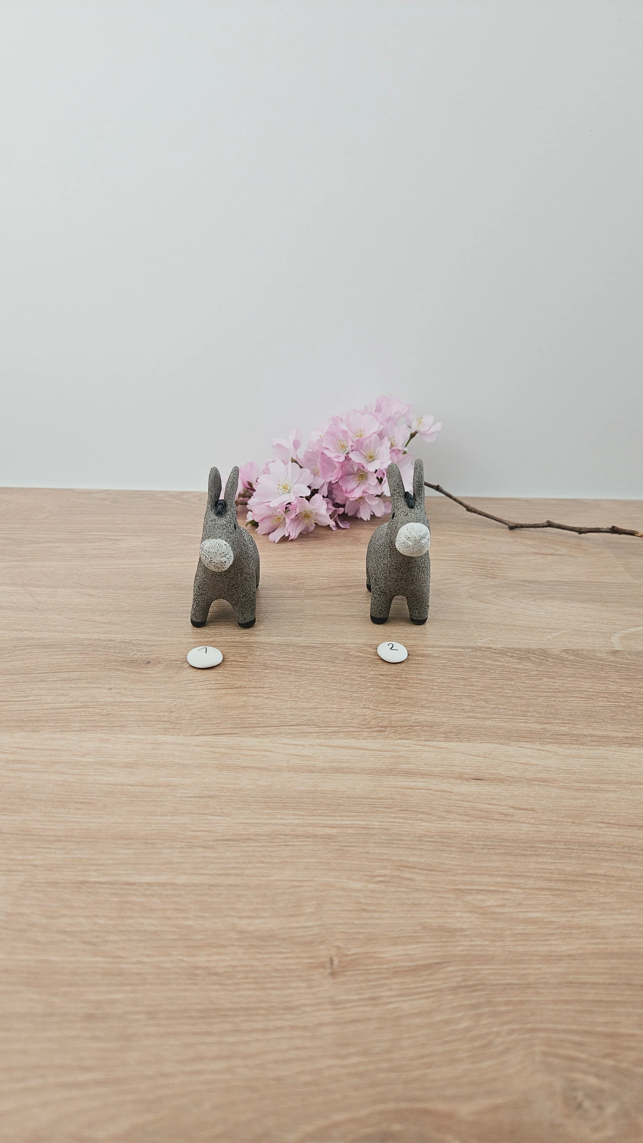 Mini Ane 20260318_134010.jpg