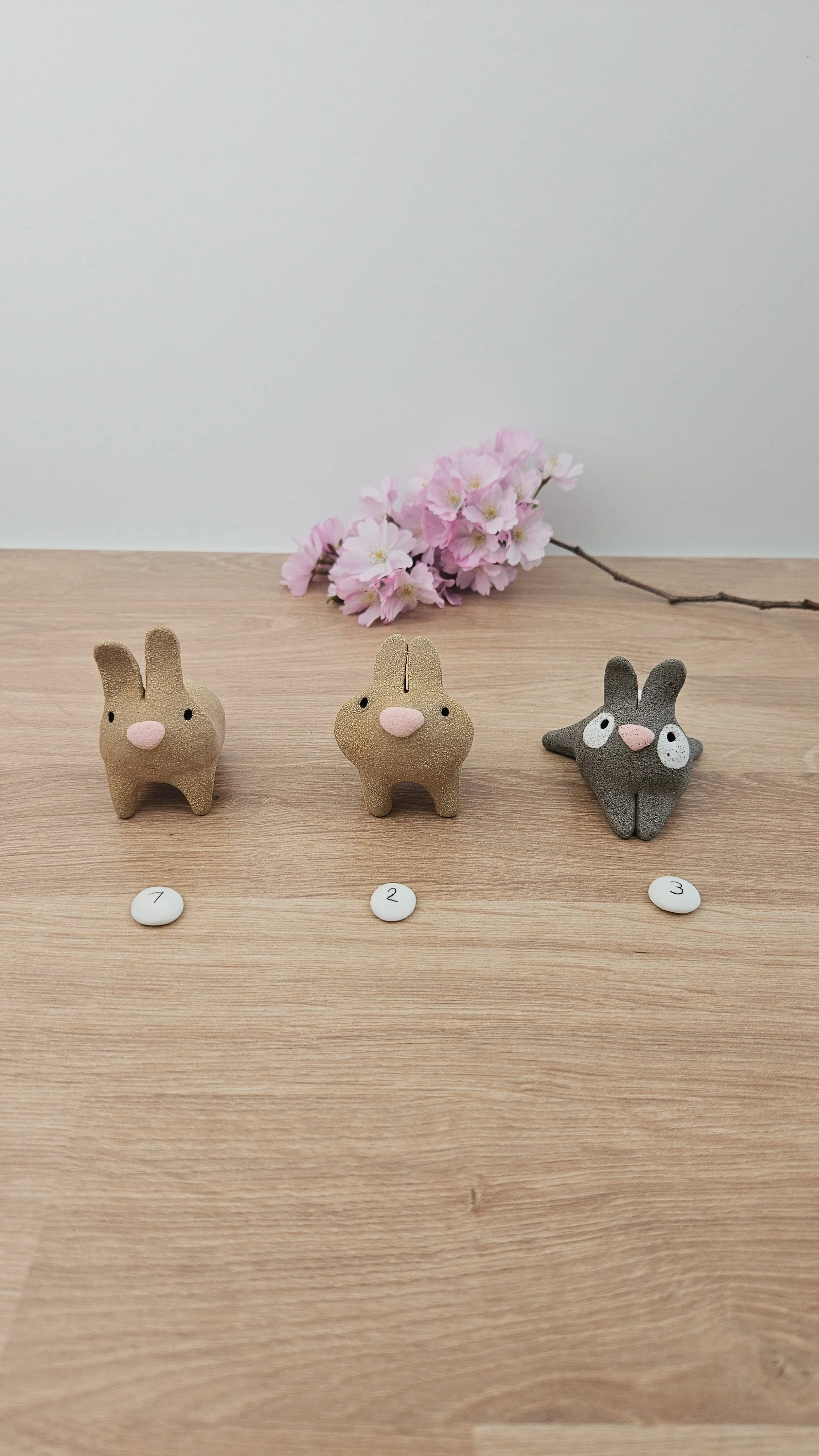 Mini Lapin20260318_141228.jpg