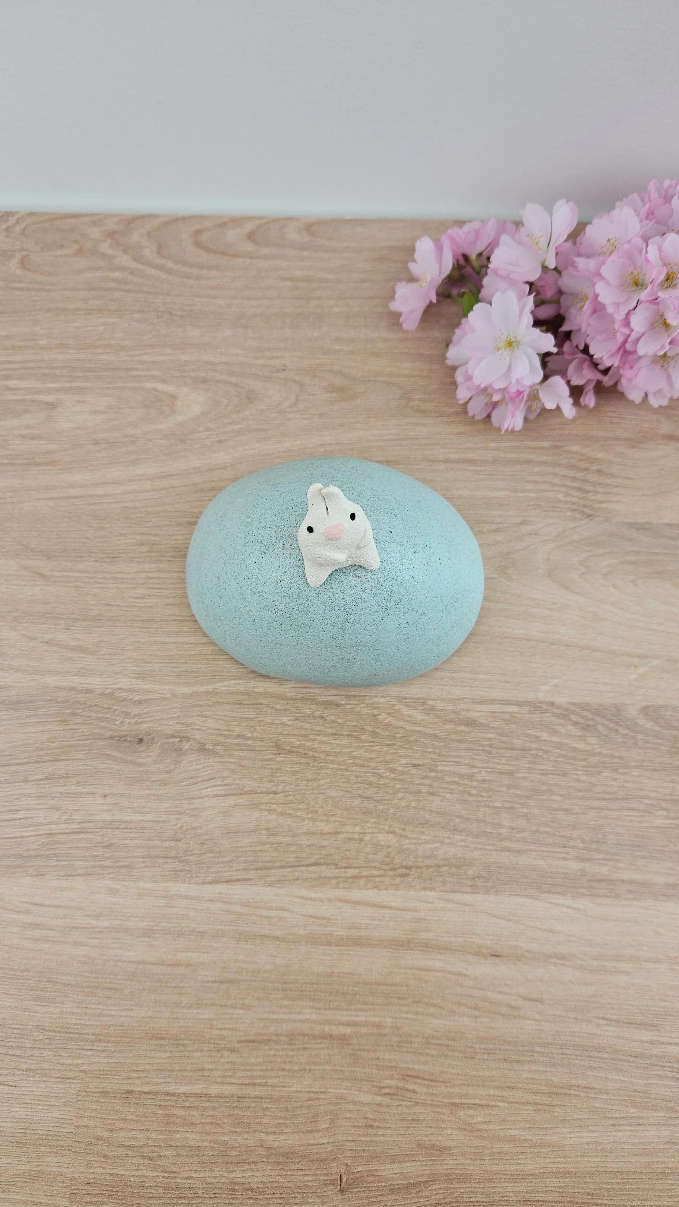 colline lapin 320260319_122236.jpg