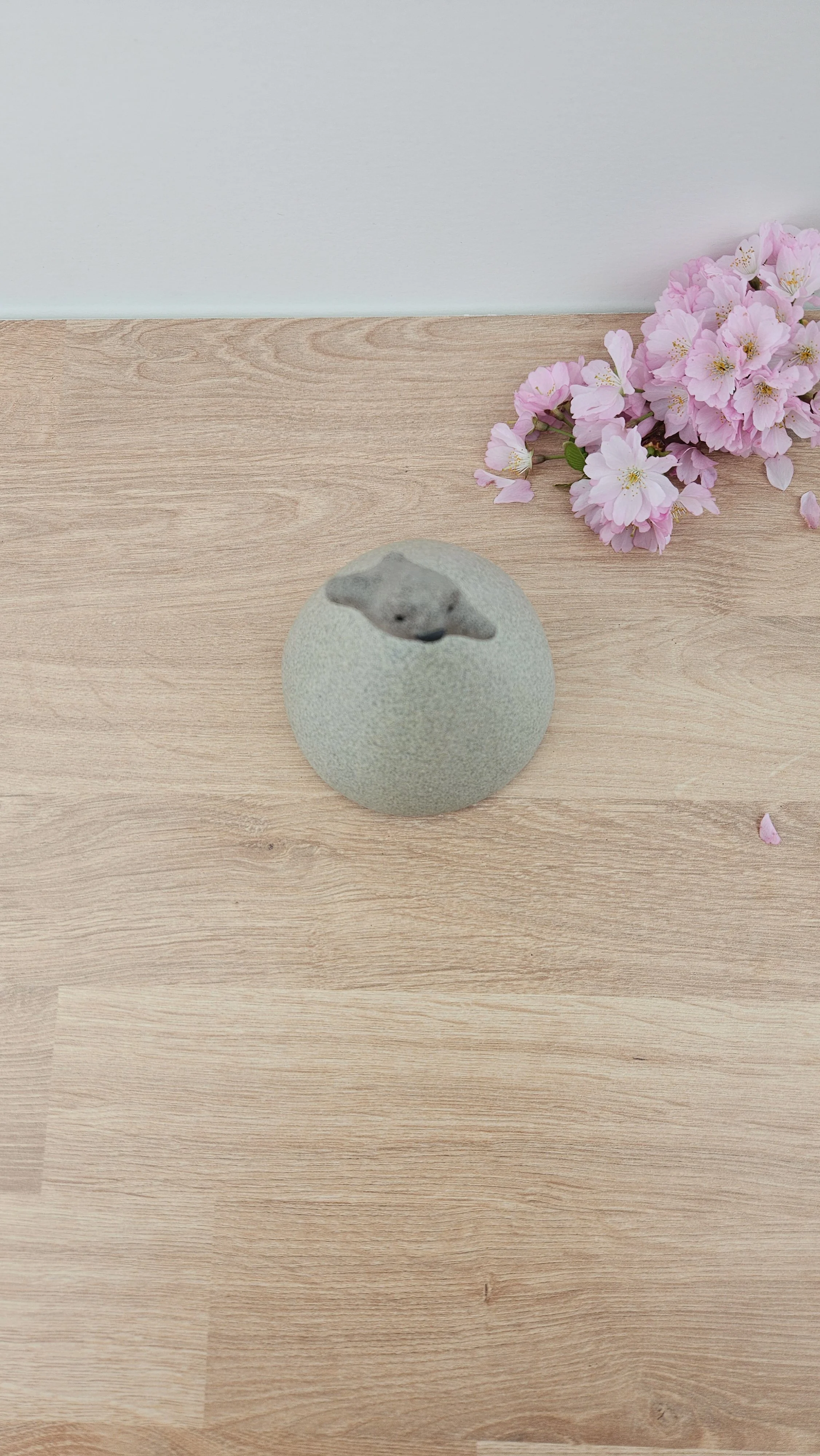 Montagne danse 320260319_143158.jpg