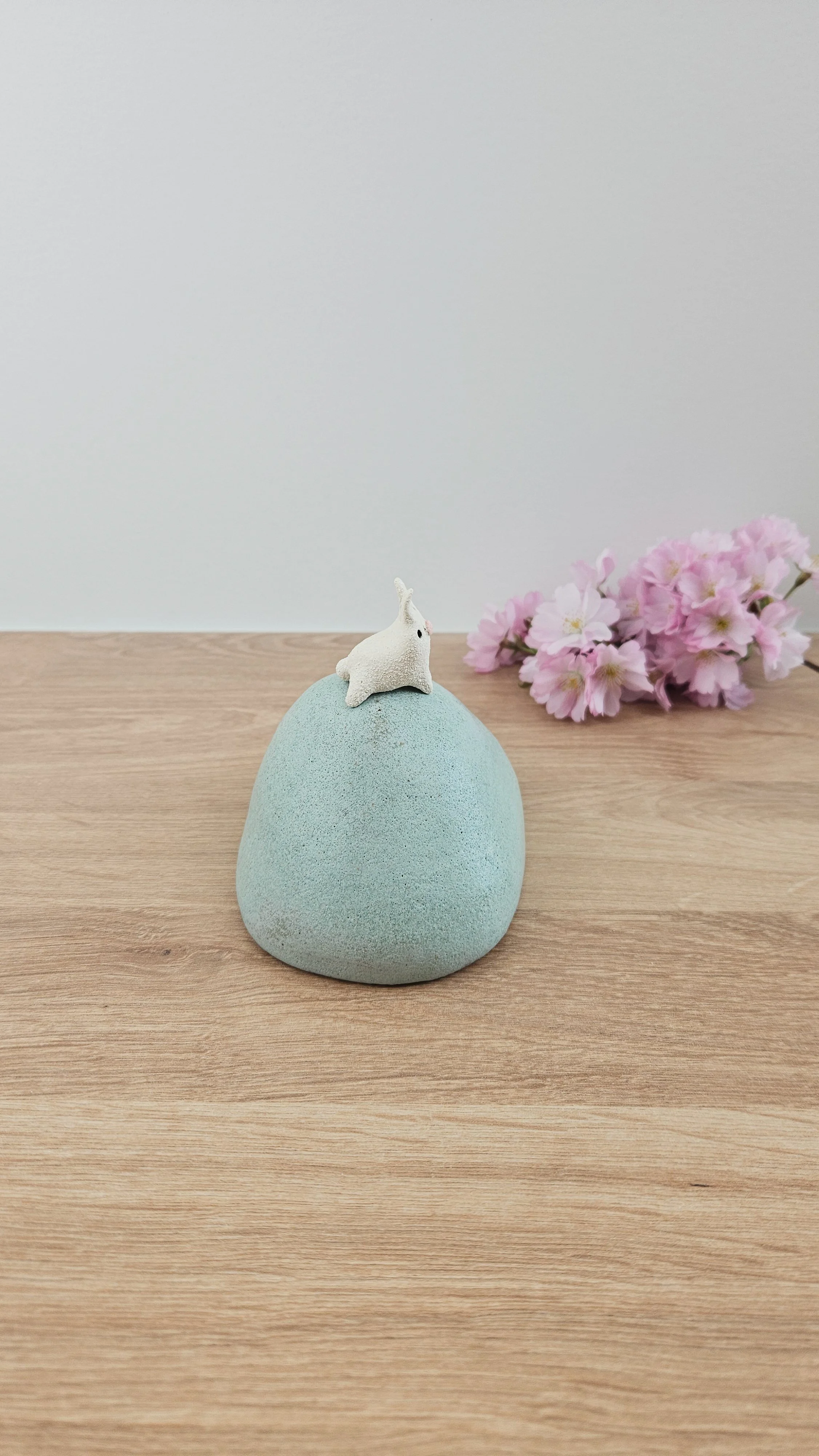 colline lapin 220260319_120930.jpg