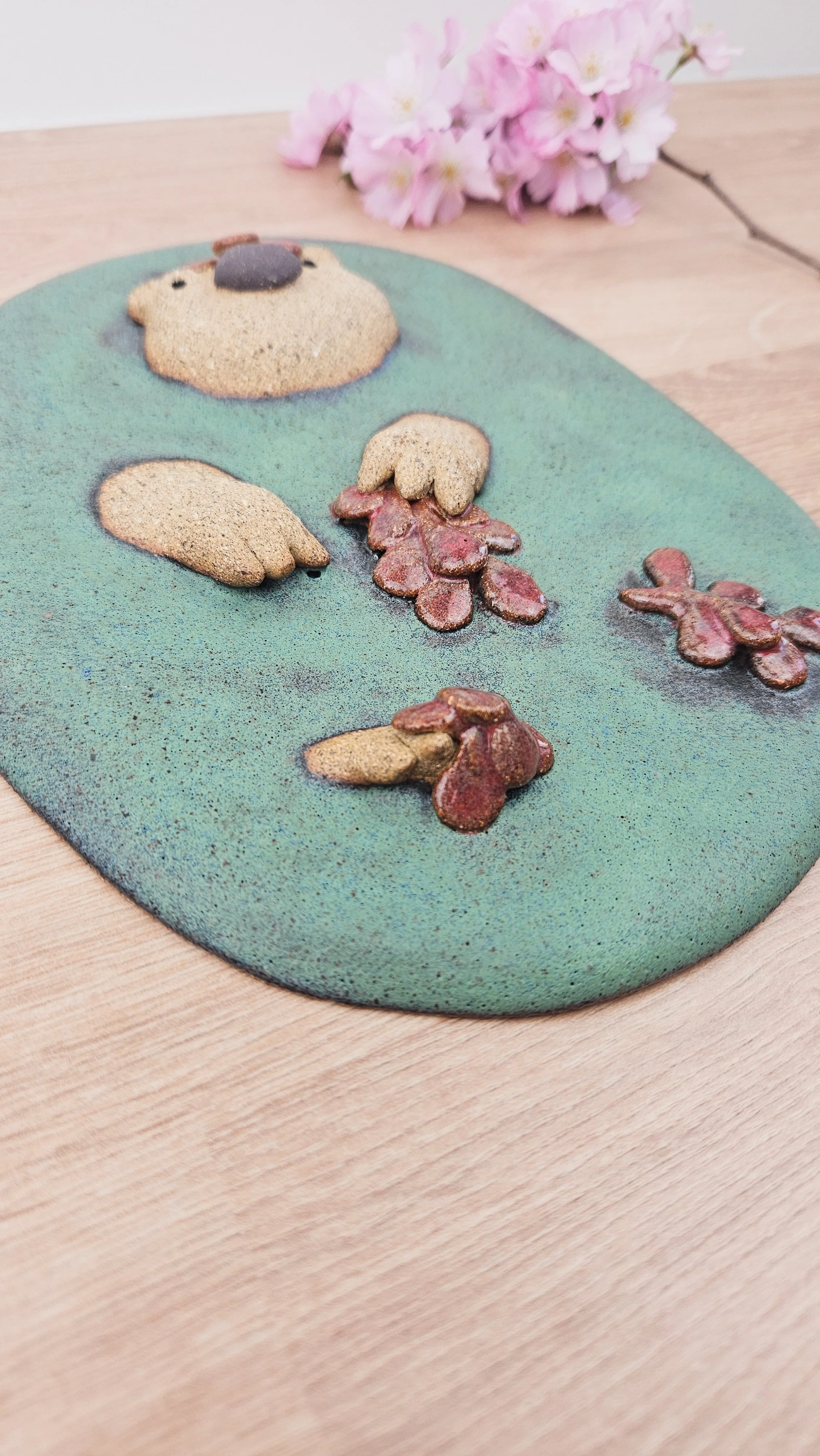 Plaque d'algues 20260318_160058.jpg