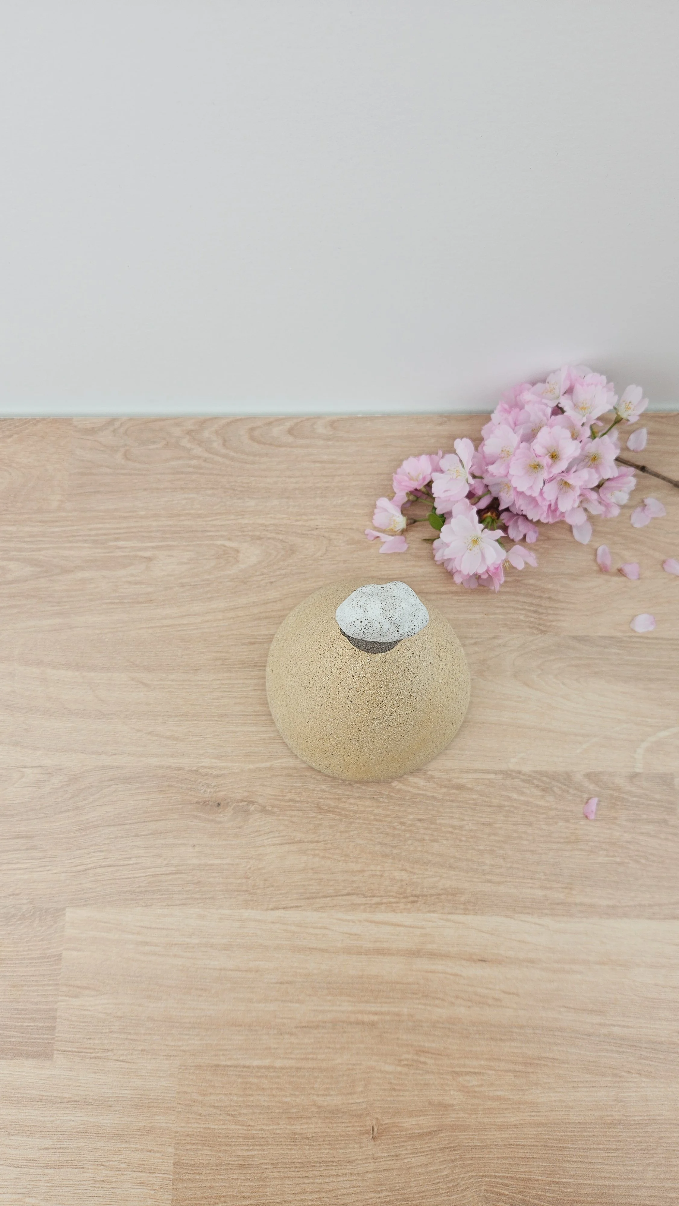 montagne nuage 3 20260319_144354.jpg