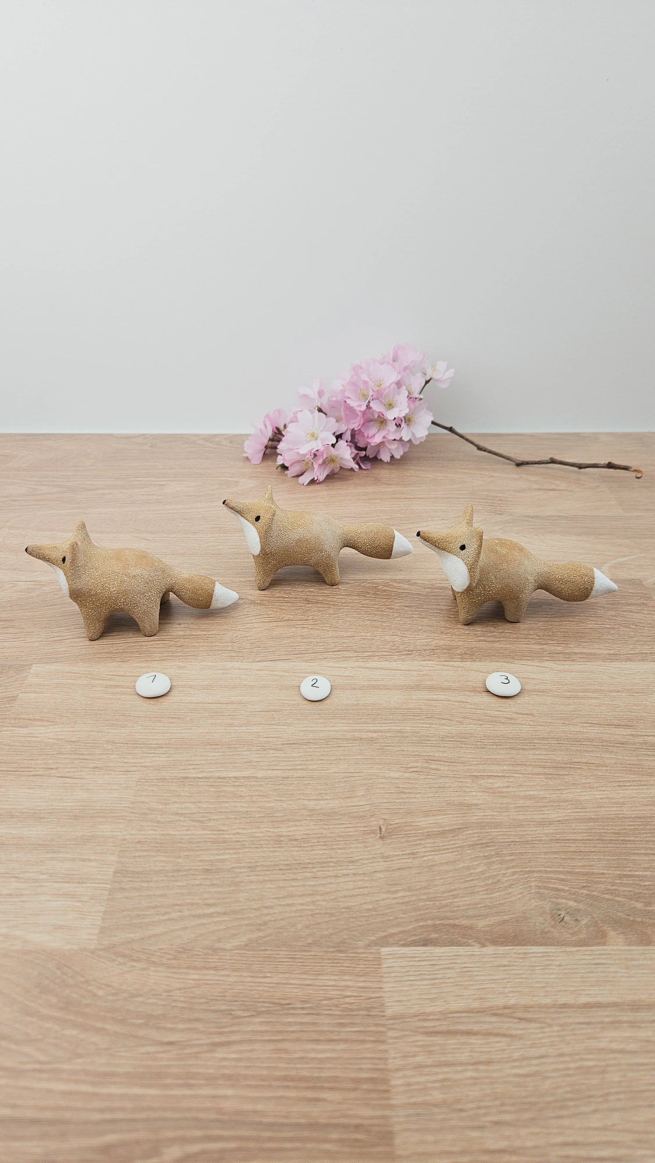 Mini Renard 20260318_140941.jpg