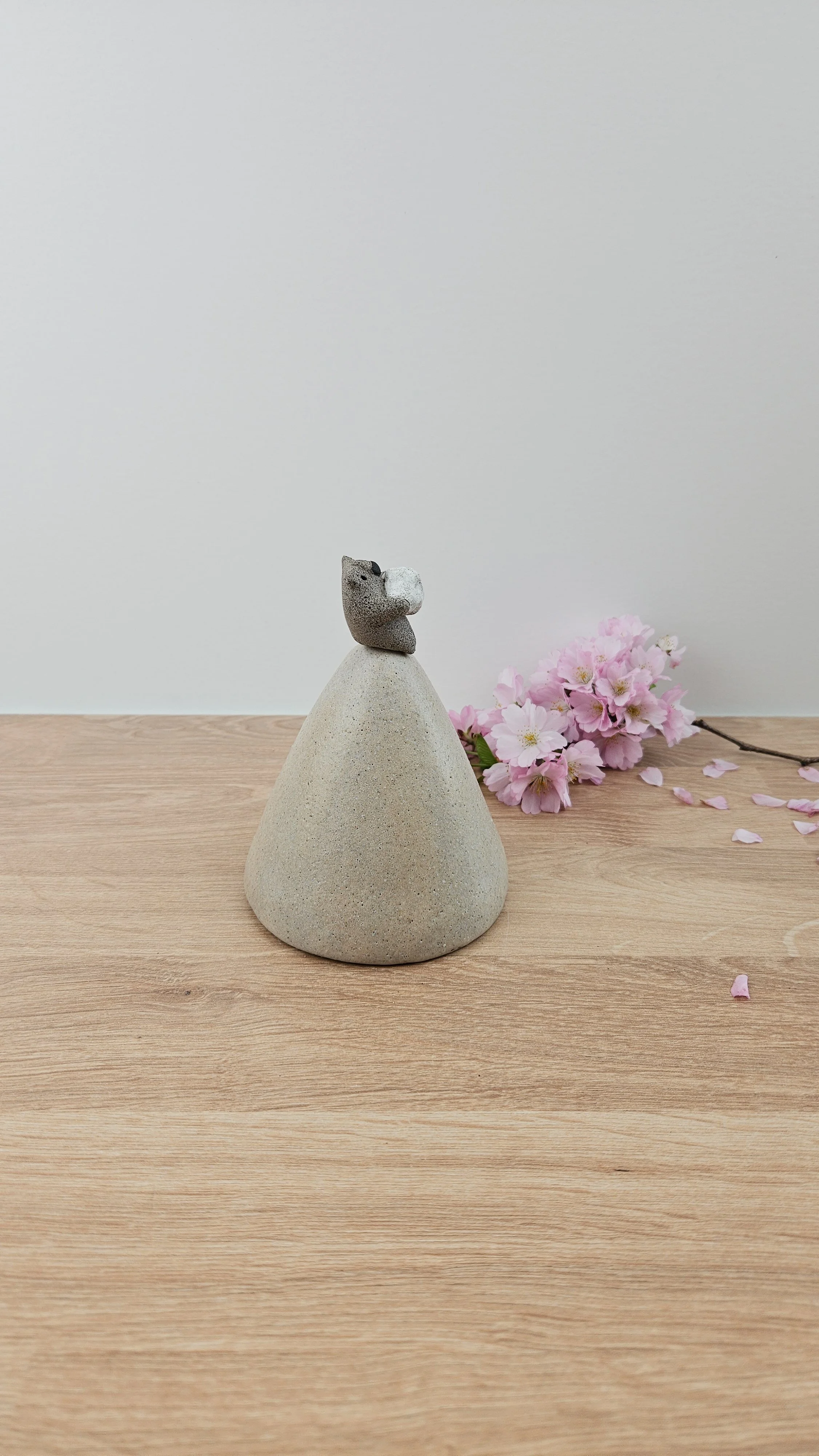 montagne nuage 9 20260319_143429.jpg