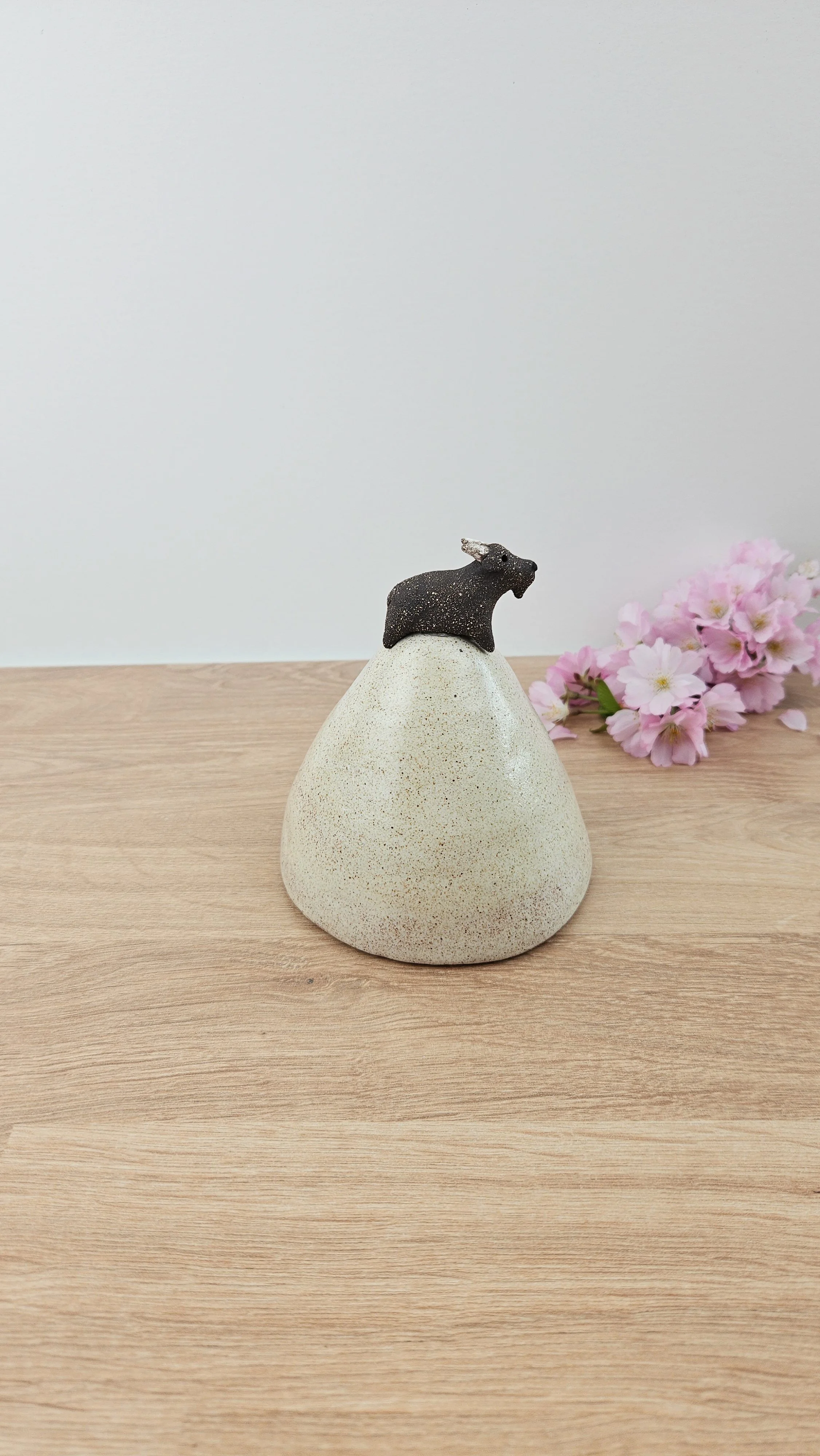 montagne biquette 220260319_142211.jpg