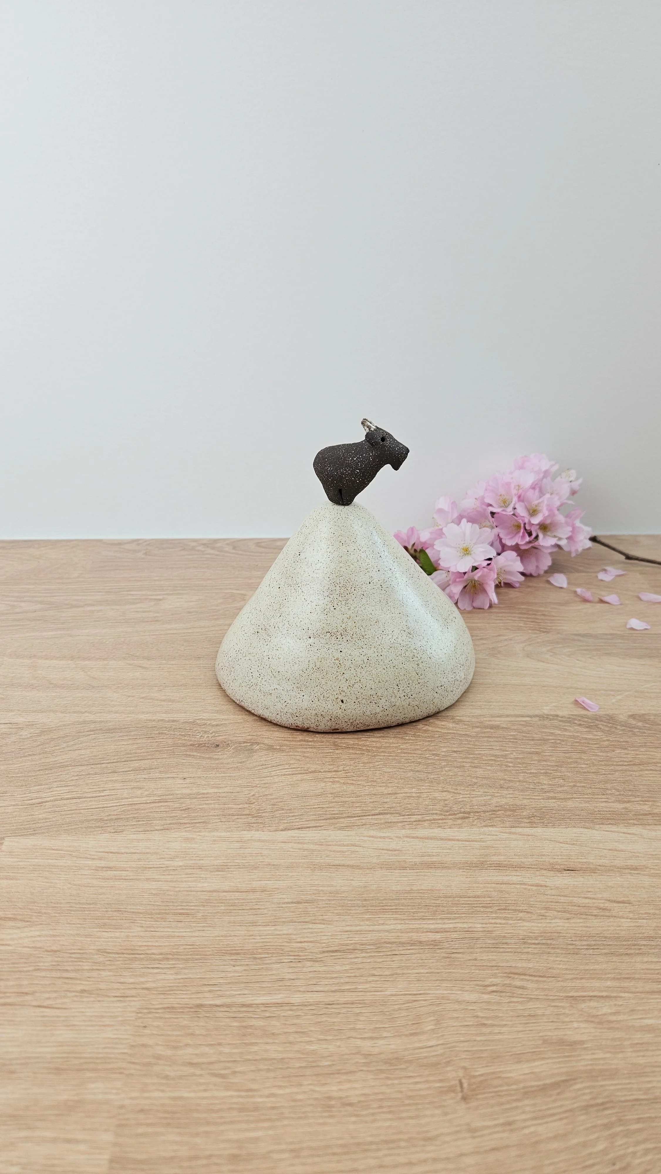 montagne biquette 320260319_142342.jpg