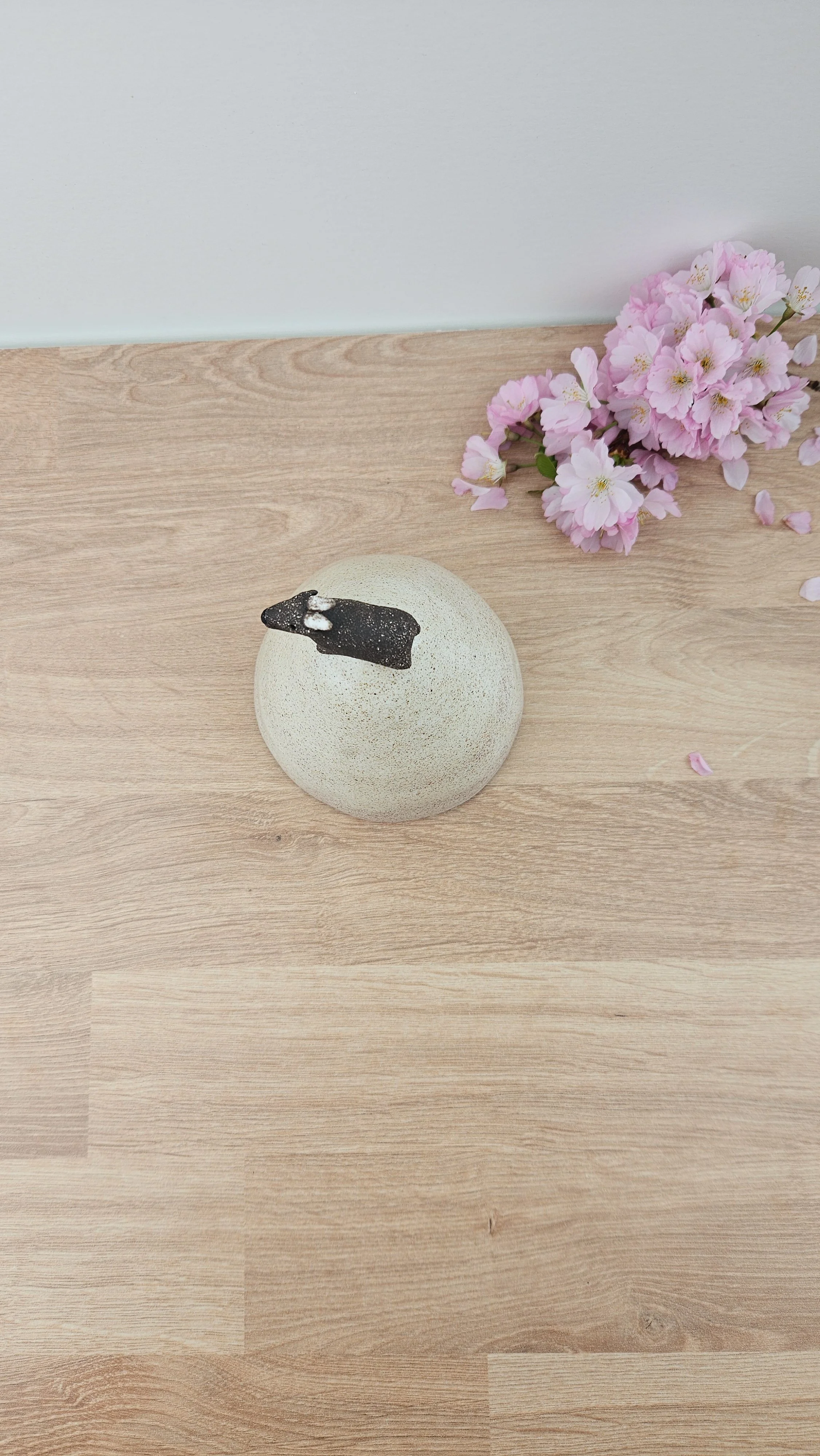 montagne biquette 220260319_142230.jpg