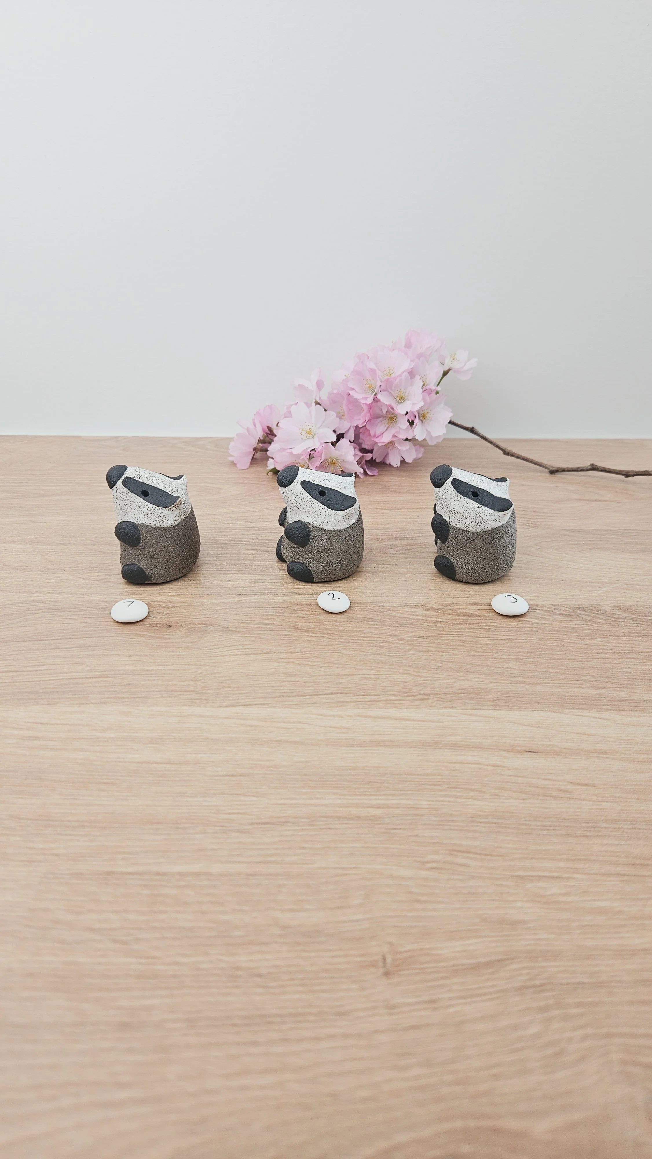 Mini Blaireau 20260318_134646.jpg