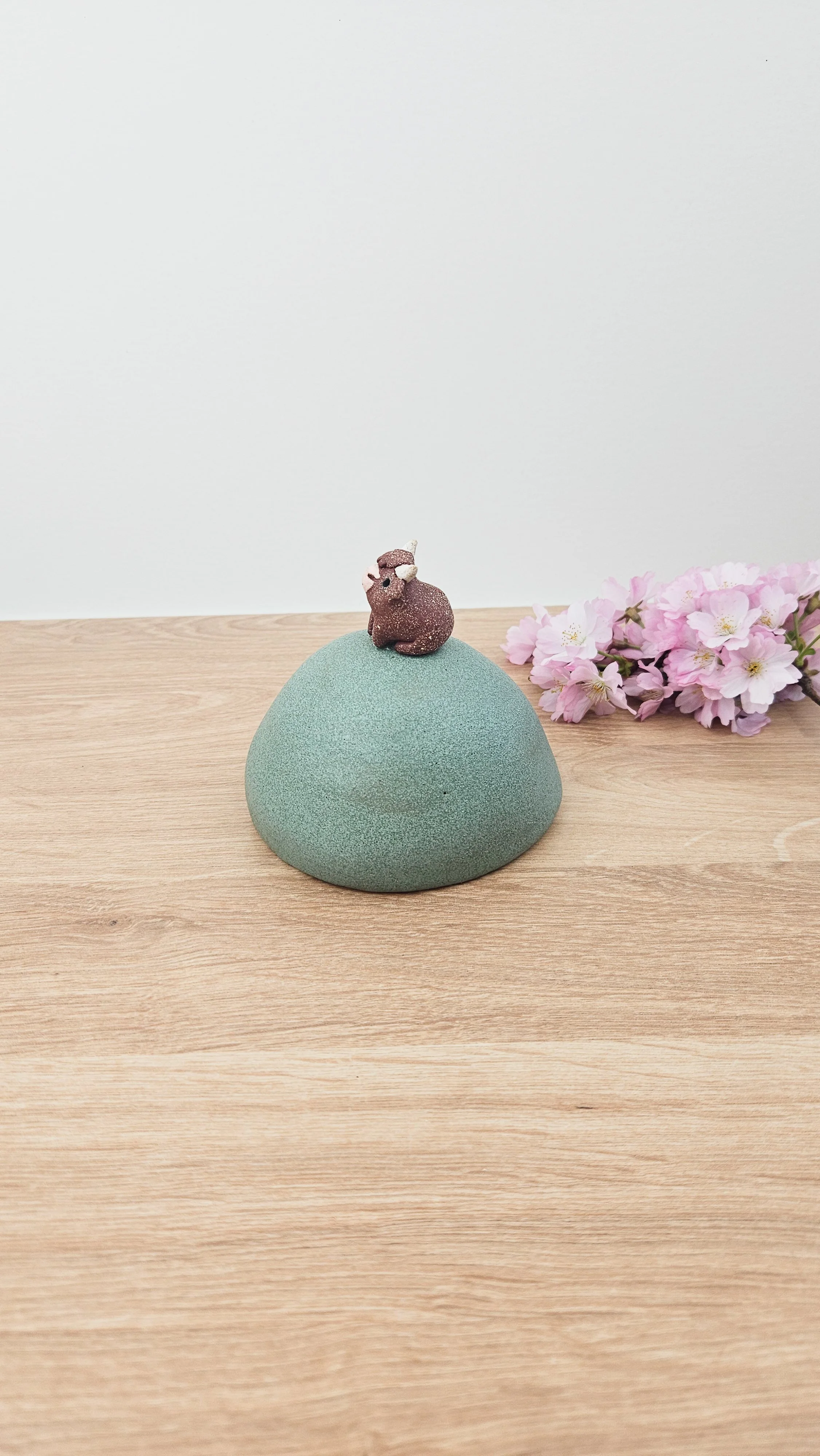 Colline Vache 6 20260318_161602.jpg