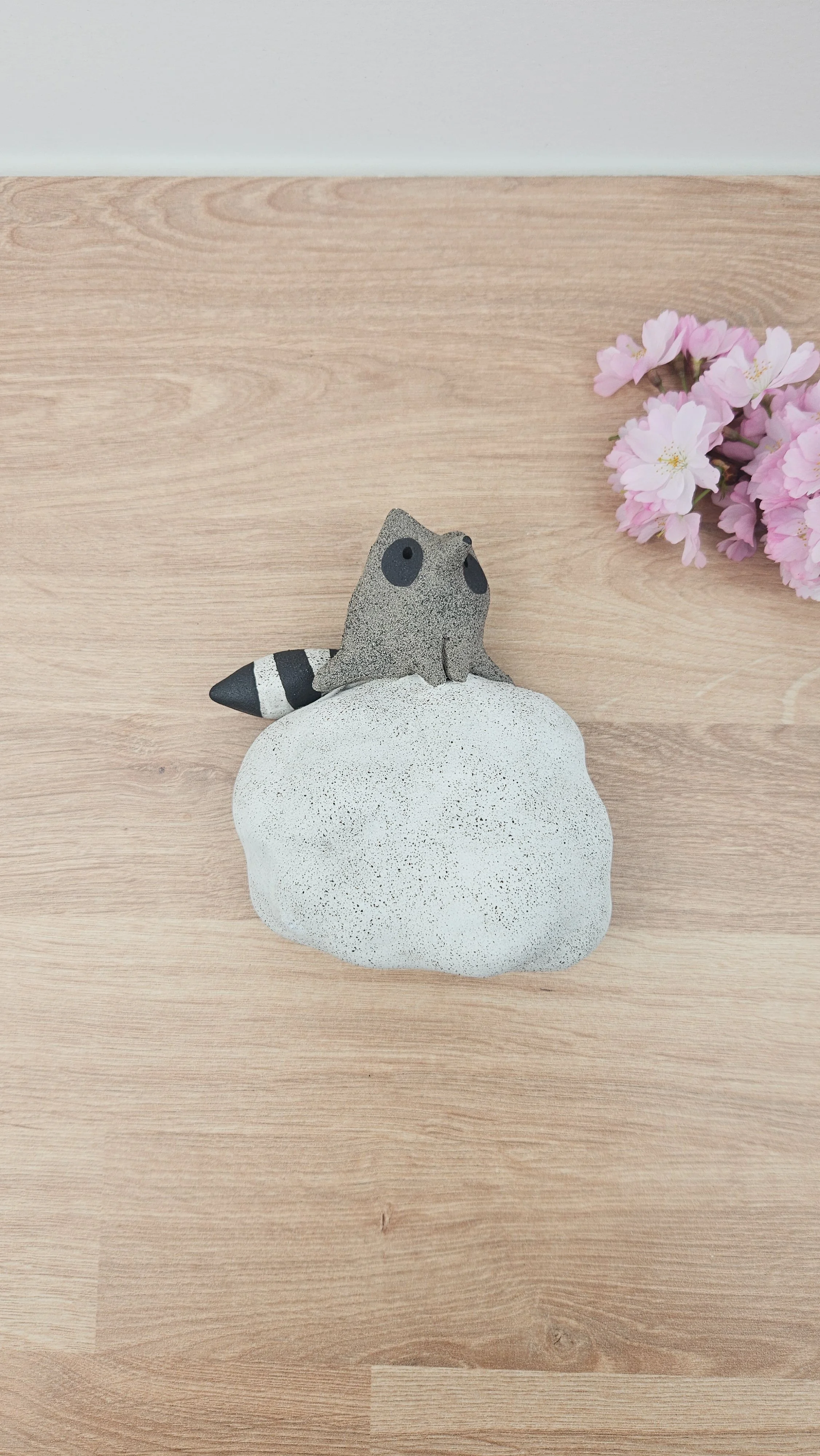 Raton Nuage 4 20260318_143551.jpg