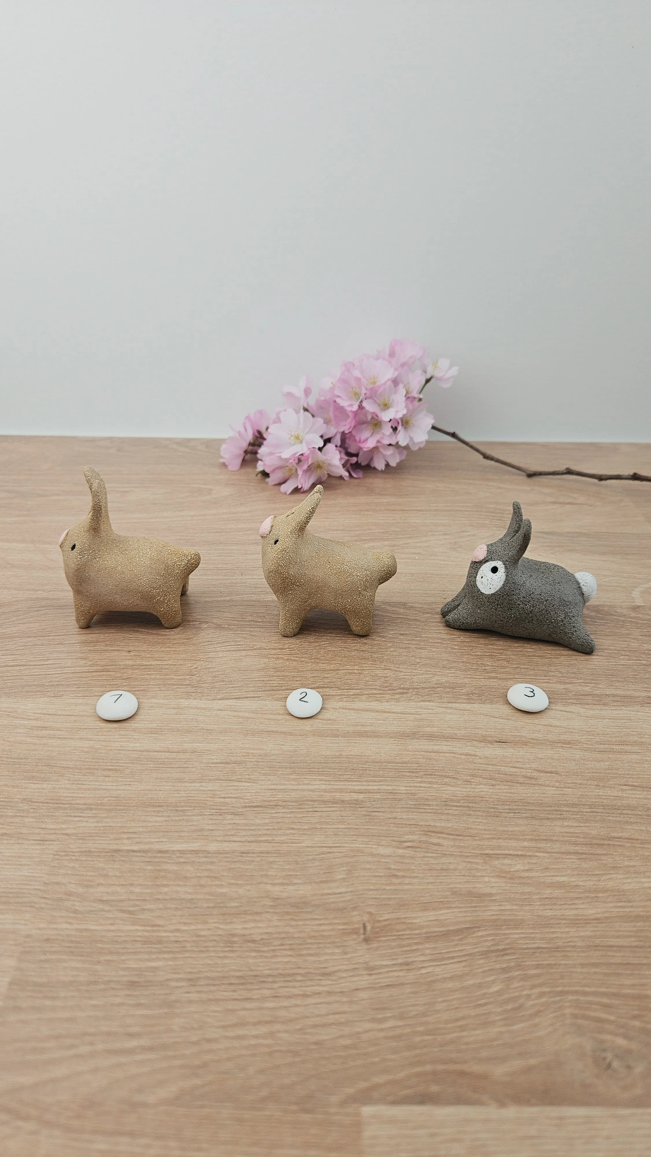 Mini Lapin20260318_141236.jpg