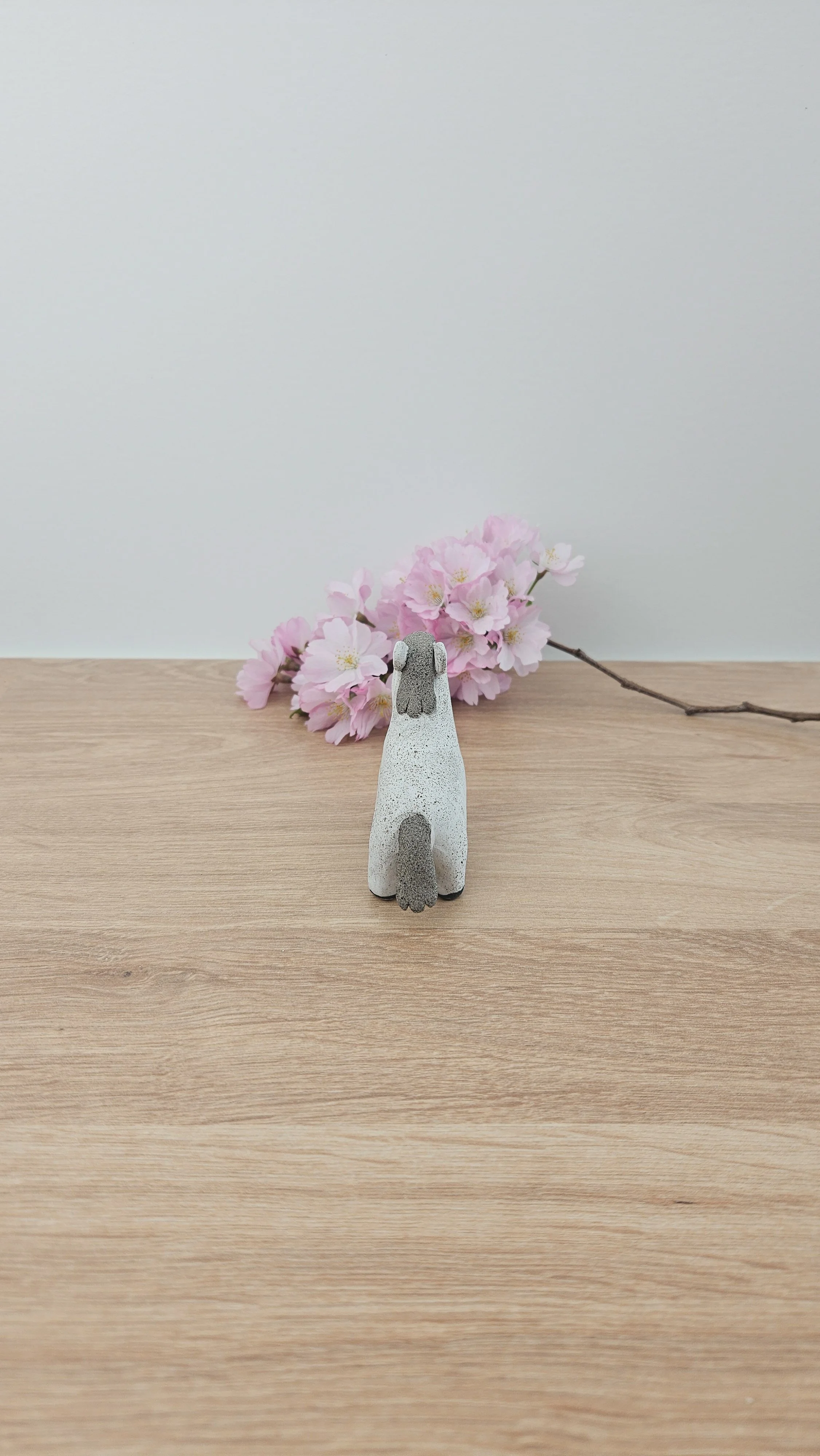 Mini Cheval 20260318_133735.jpg