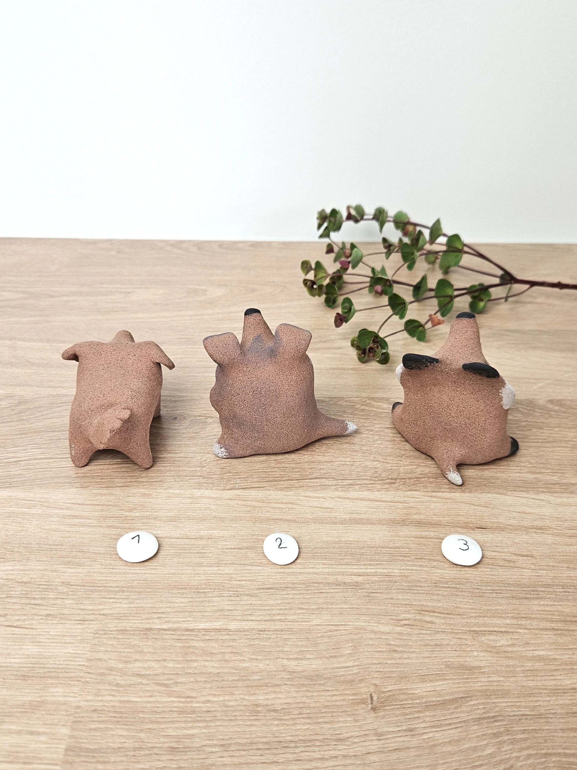 mini chien (4).jpg