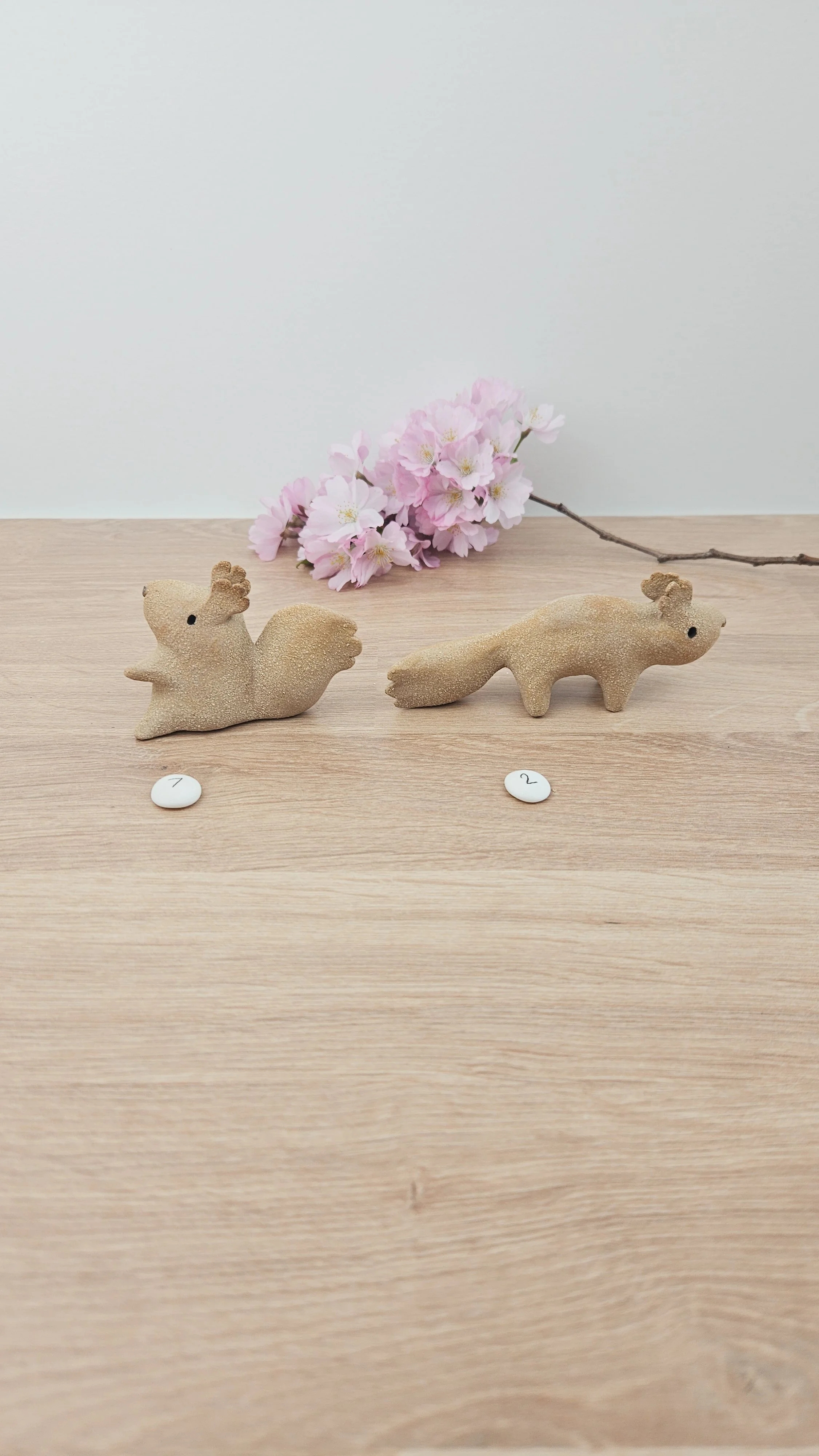 Mini Ecureuil 20260318_140100.jpg