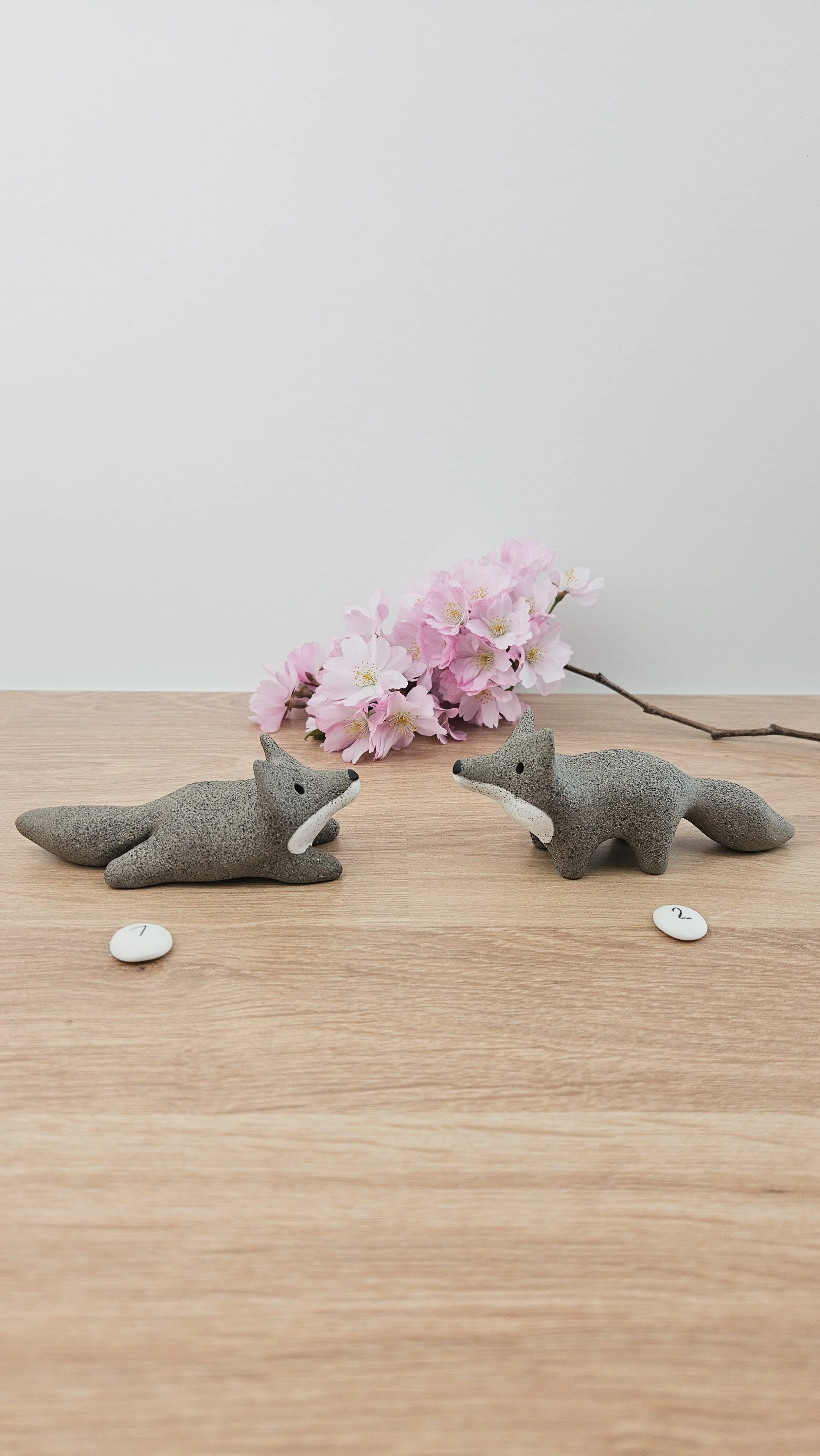 Mini Loup 20260318_133430.jpg