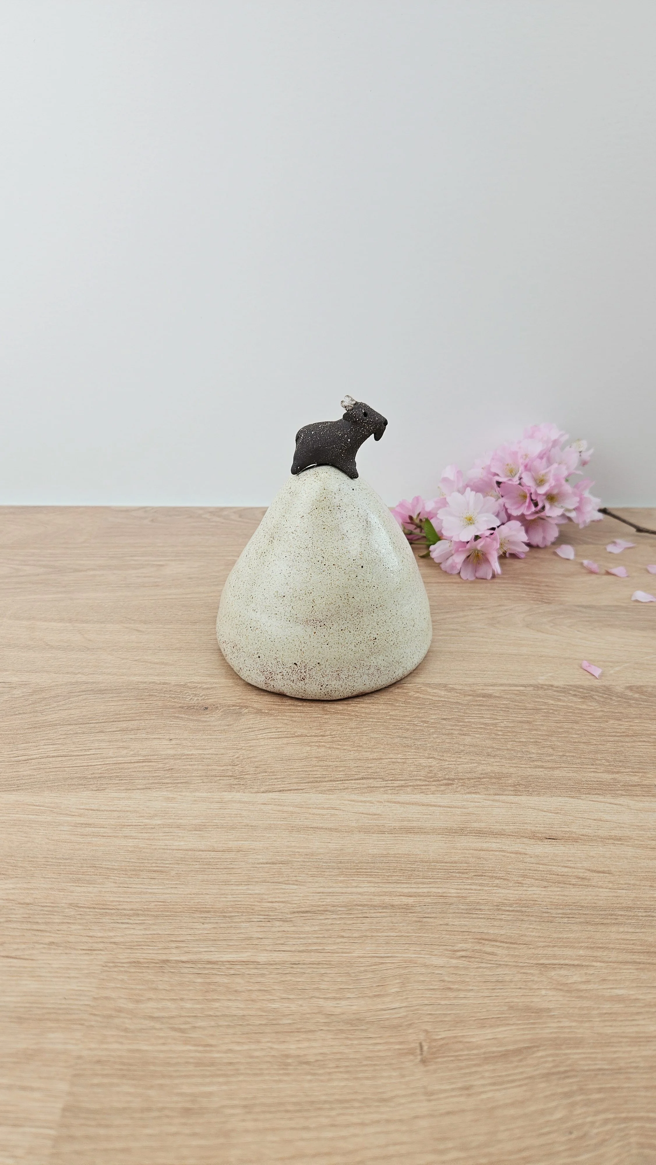 montagne biquette 420260319_142452.jpg