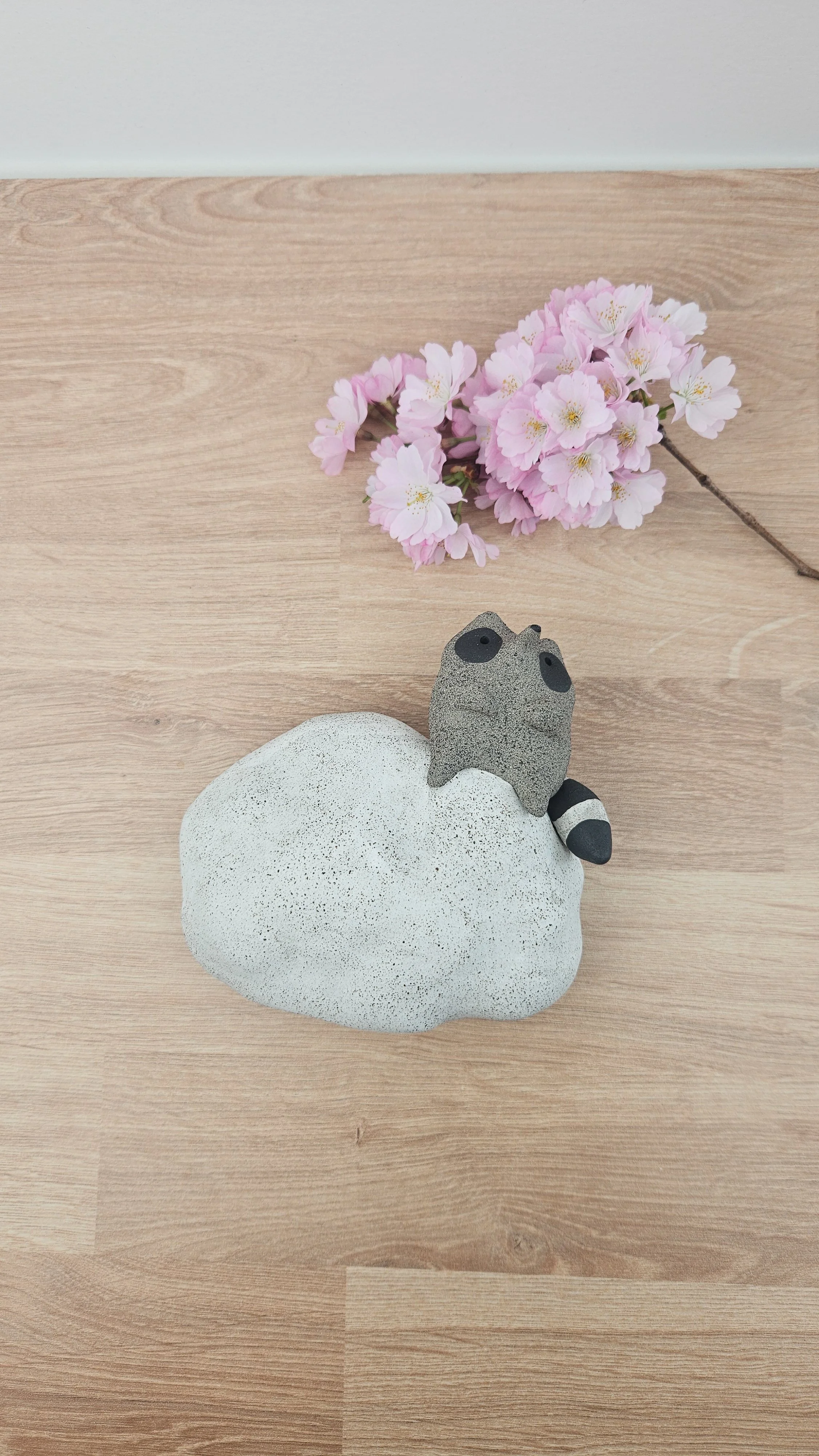 Raton Nuage 2 20260318_143420.jpg