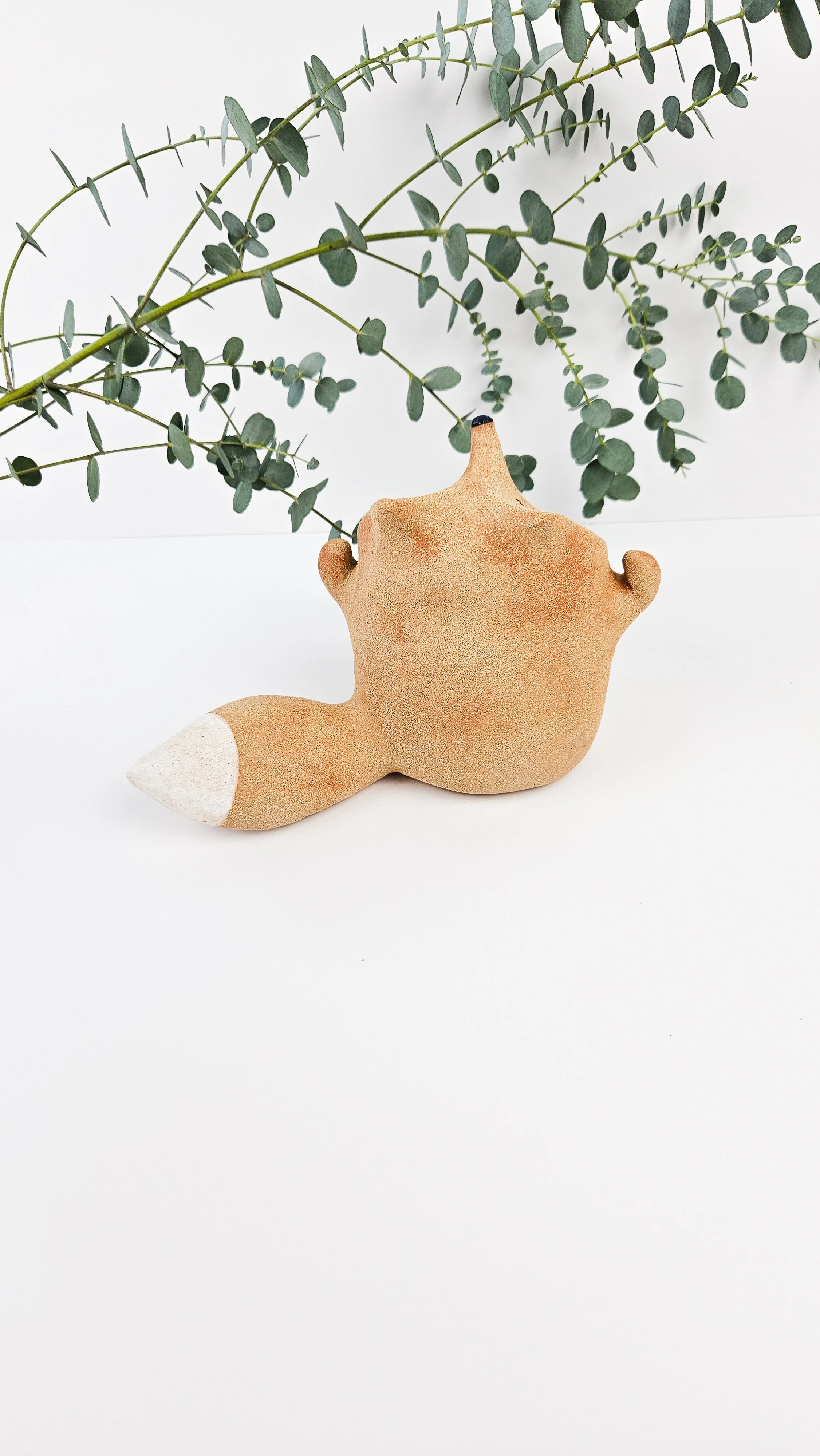 1_Renard costaud20250829_160808.jpg