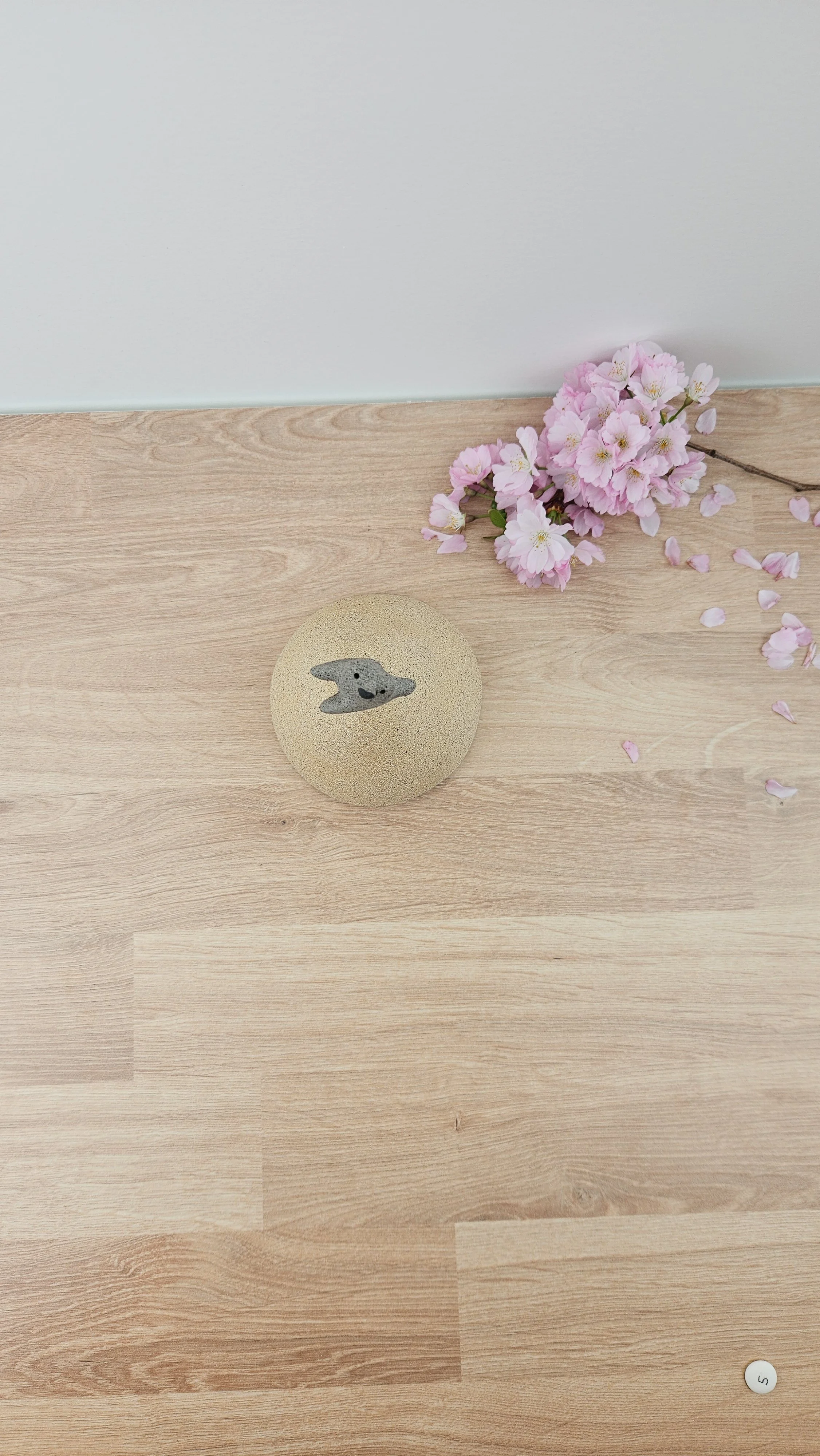 Montagne danse 220260319_142941.jpg