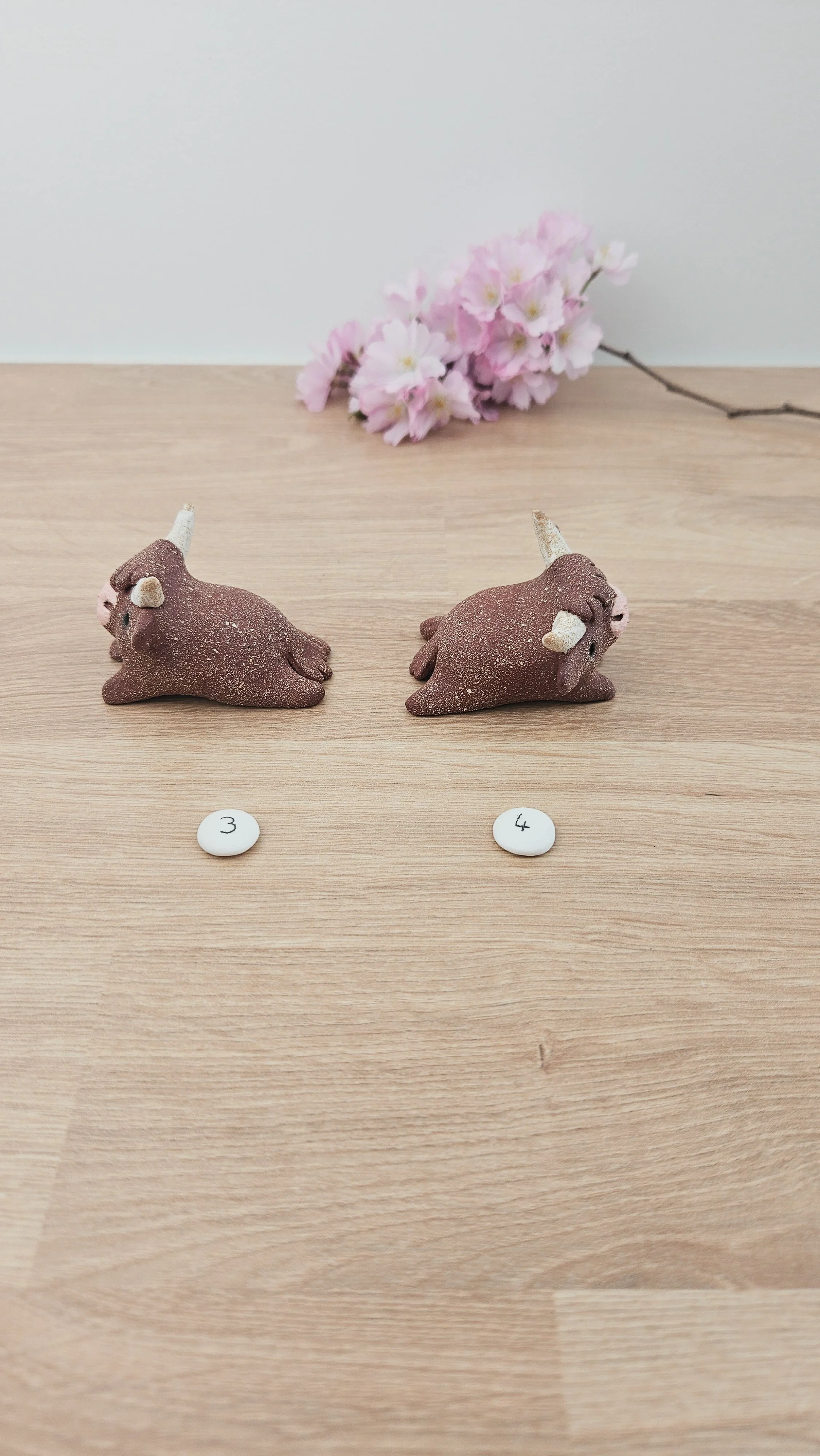 Mini Vache 20260318_140634.jpg