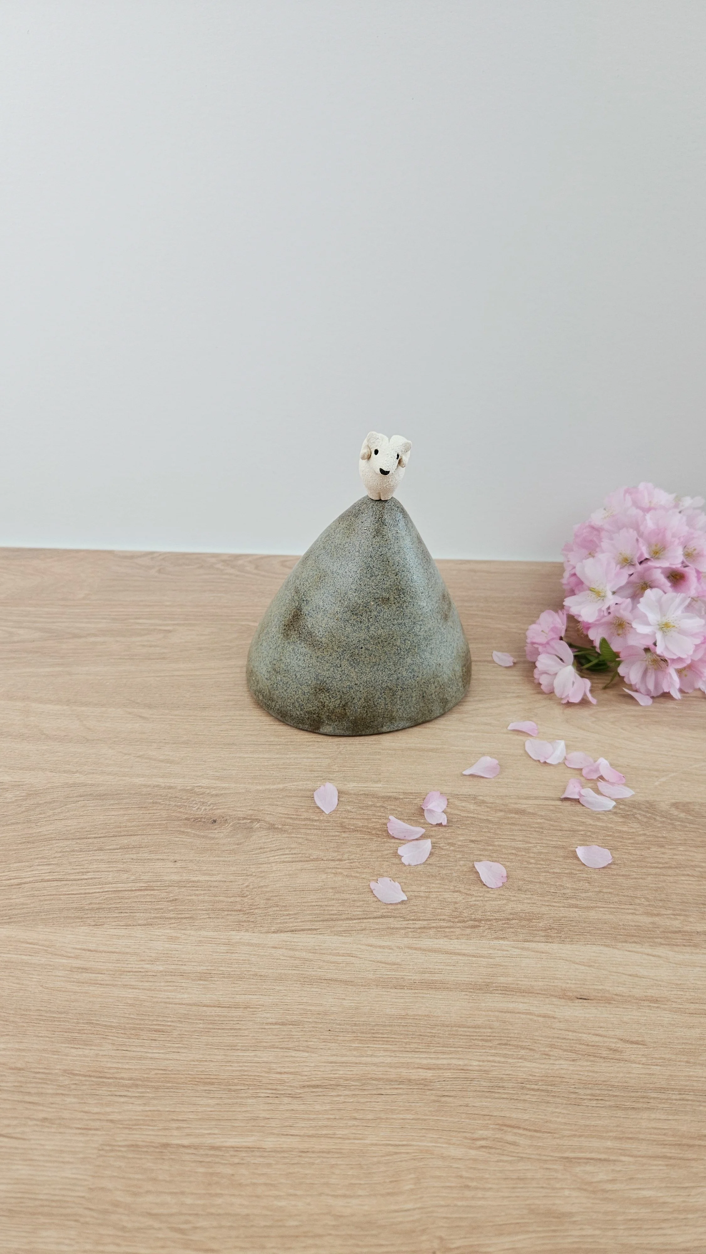 montagne Bouc 320260319_123927.jpg