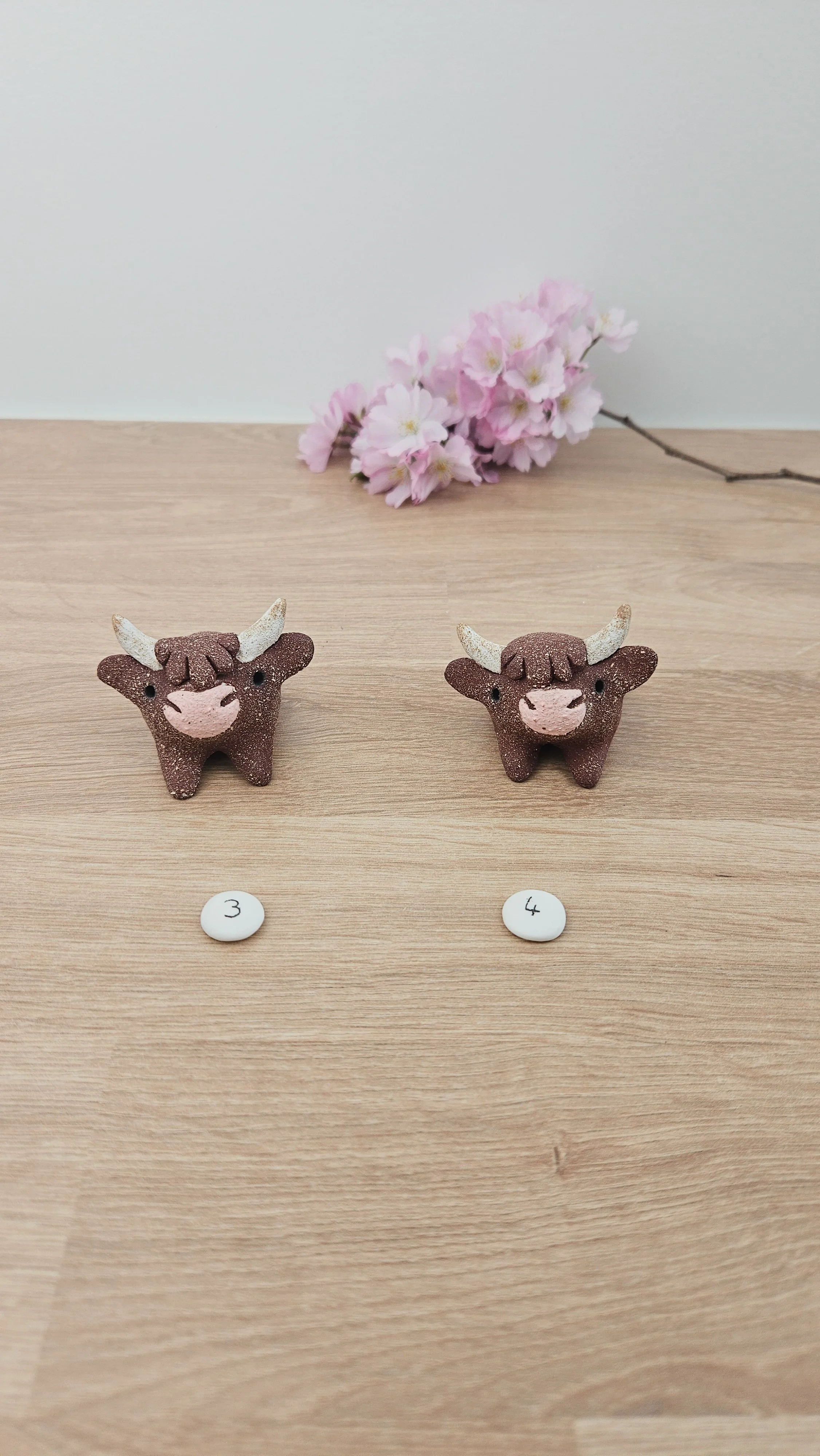 Mini Vache 20260318_140626.jpg