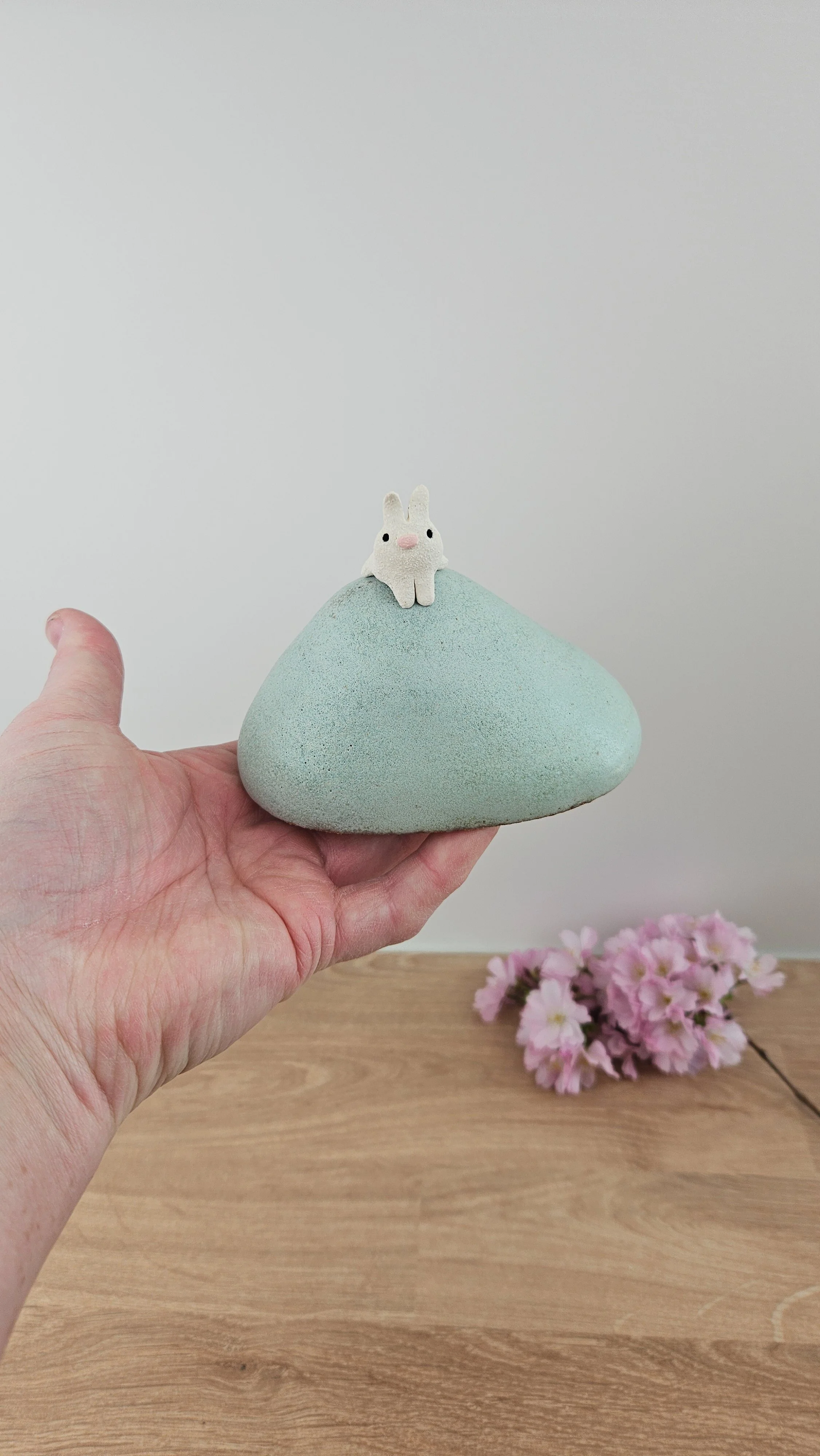 colline lapin 220260319_120940.jpg