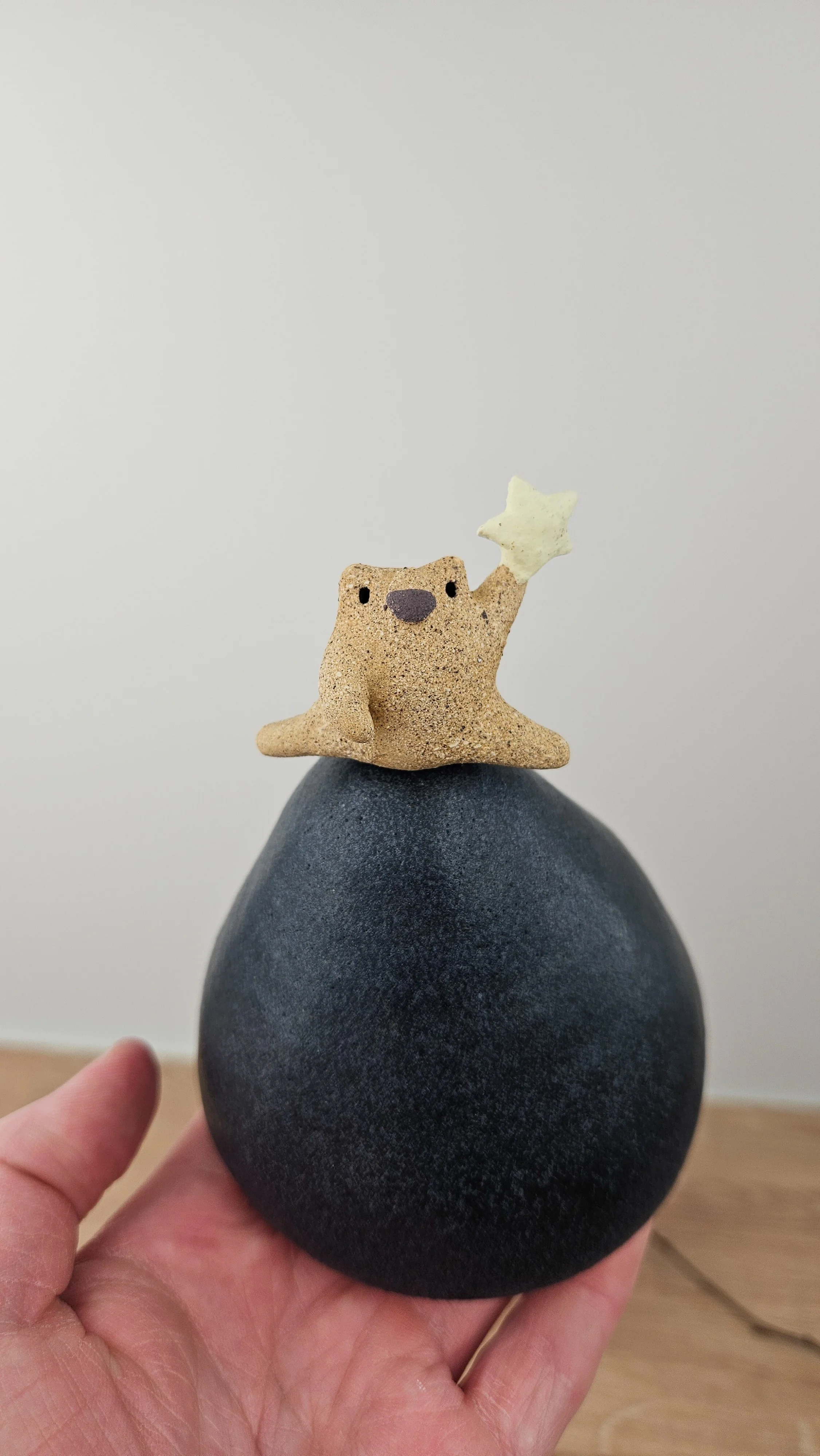 Danseur étoile 2 20260318_145317.jpg