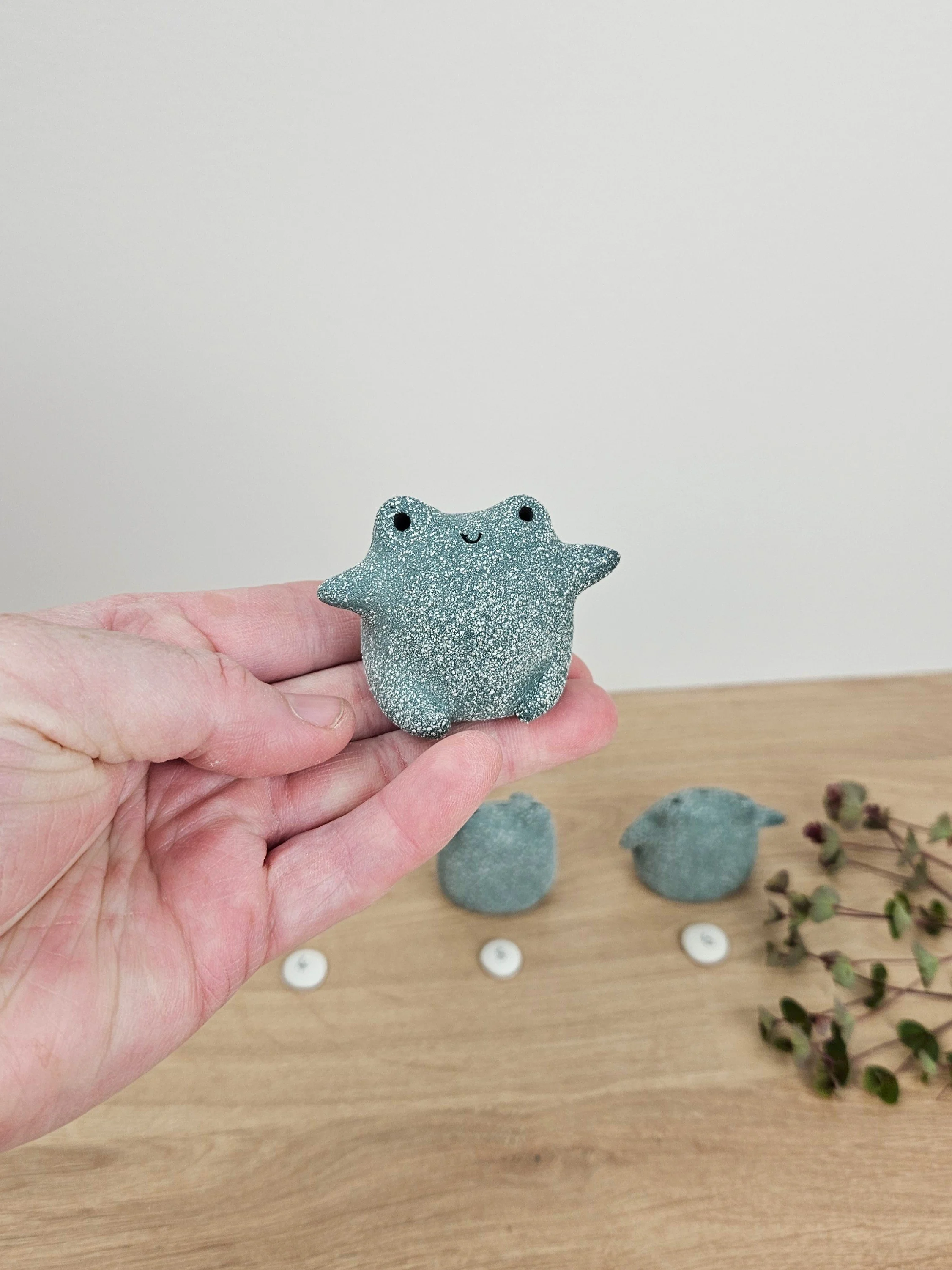 mini grenouille (4).jpg