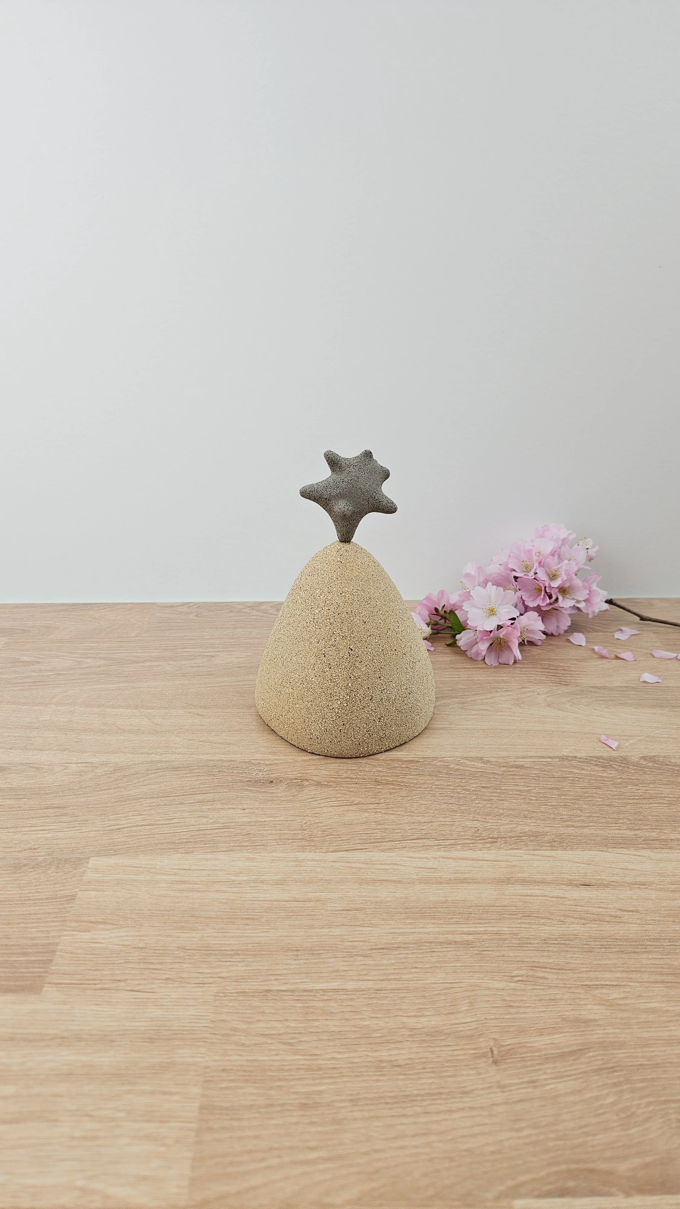 Montagne danse 120260319_142856.jpg